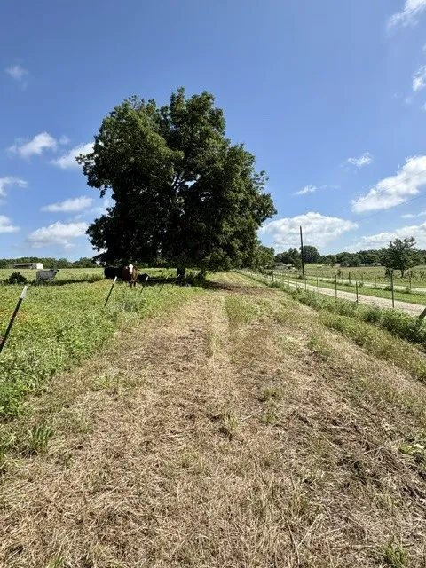 Long laneway entrance lined with mature pecans provides exceptional privacy.