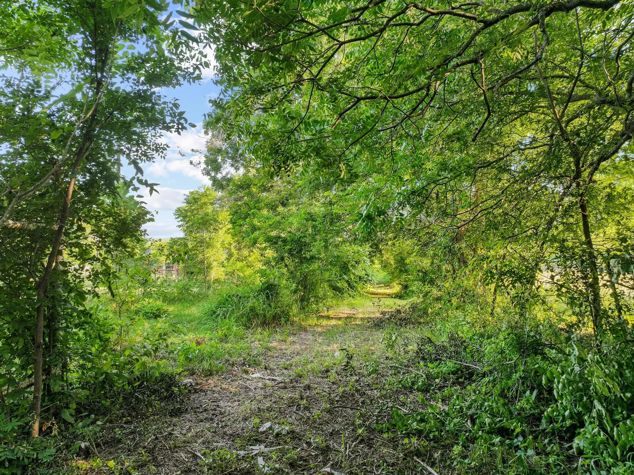 30' wide laneway