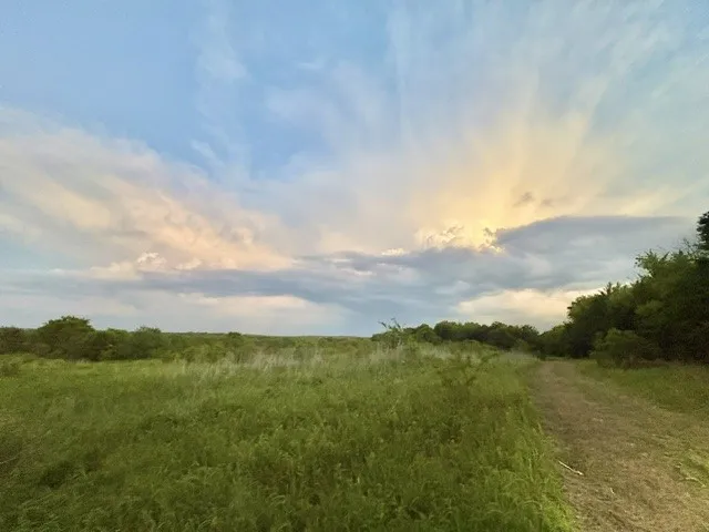 Unimproved Land For Sale in Grayson County , 670 Independence Springs, Sherman, Texas 75090, 0, 0, Garage spaces, 0 Sqft, built in 0, mls#21305100, Real Estate Agent in Sherman, Homes For Sale in Grayson county, Homes For Sale in Sherman, Realtor in Sherman Texas, Real Estate Brokerage Independent Realty Texas, Luminita Cordes Realtor