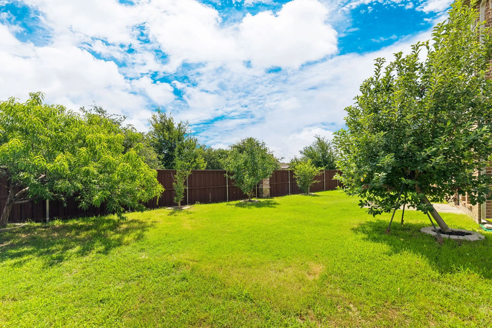 Expansive backyard featuring a lush green lawn, mature trees, and a privacy fence