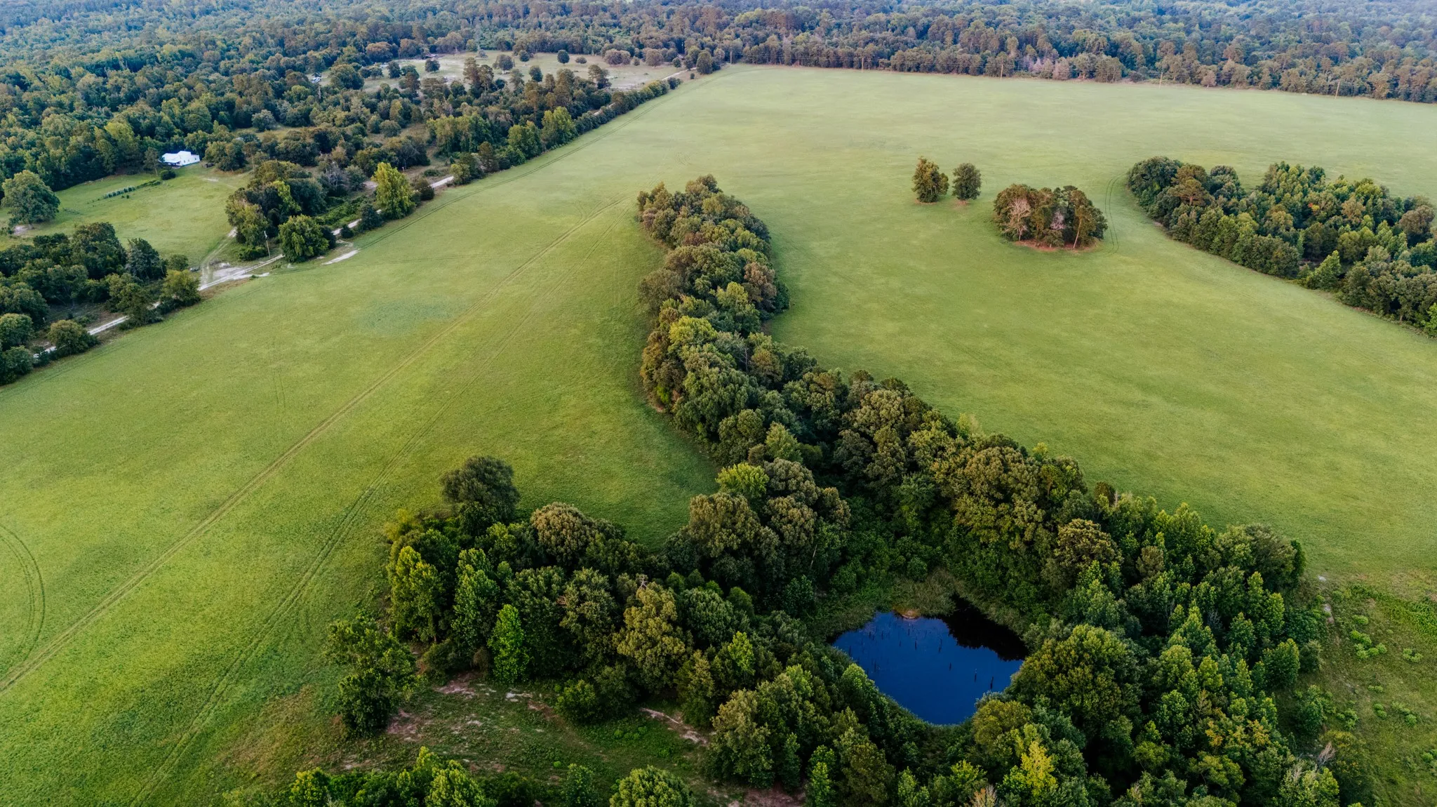 Expansive green pastures framed by mature trees, featuring a serene pond