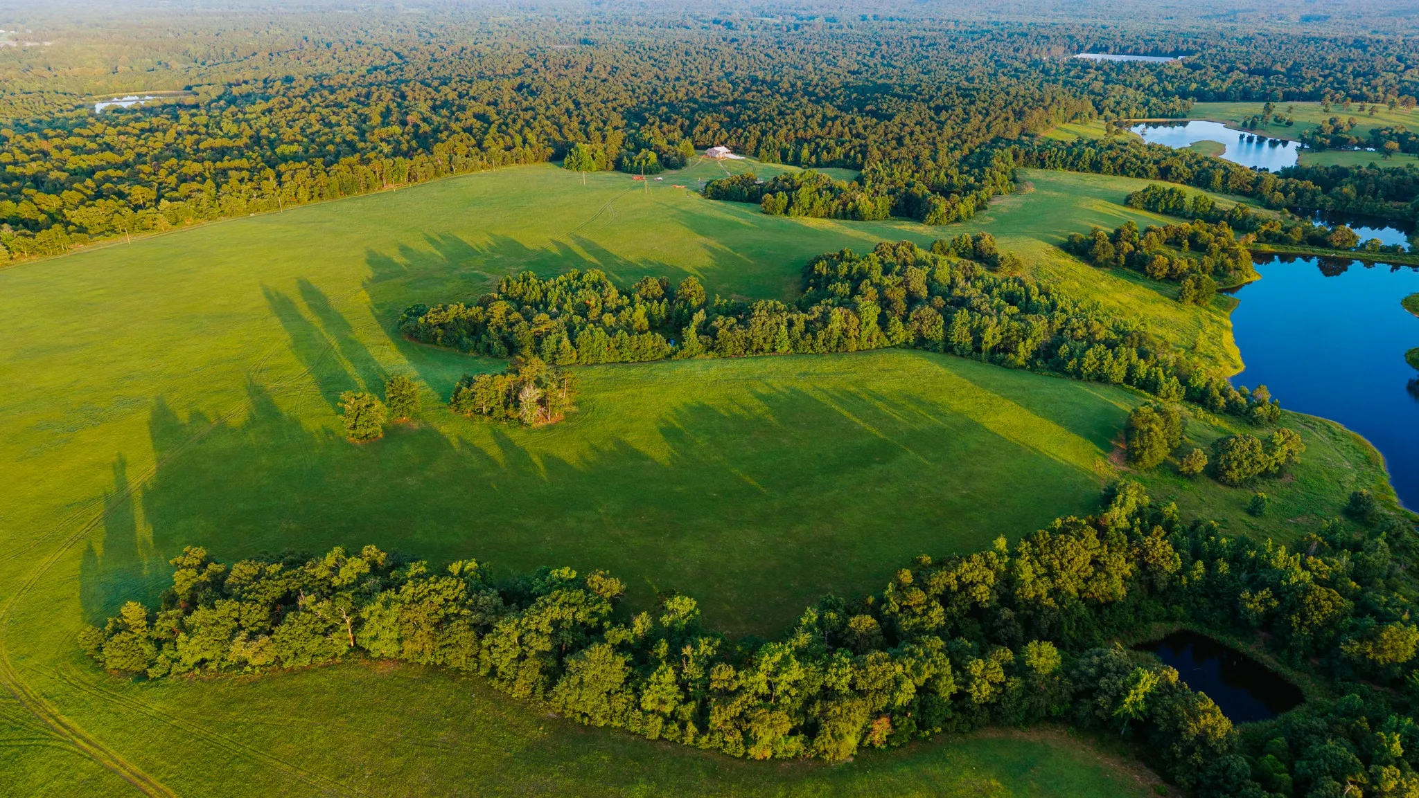 Expansive acreage featuring open green fields and dense woodland