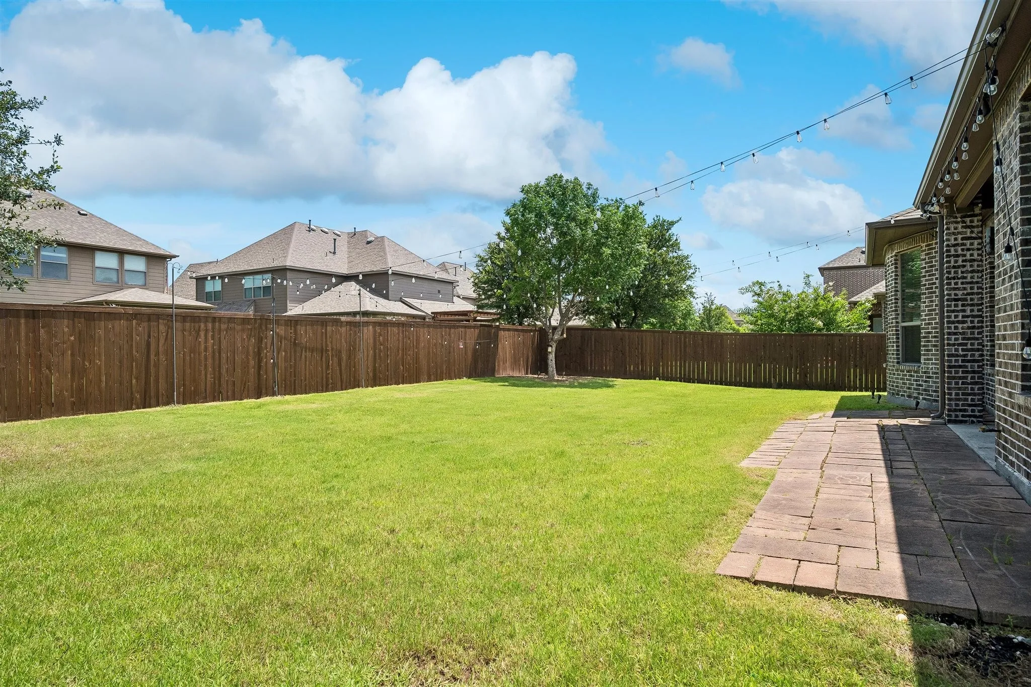 Pool size yard - Expansive green lawn with a mature central tree, enclosed by a privacy fence