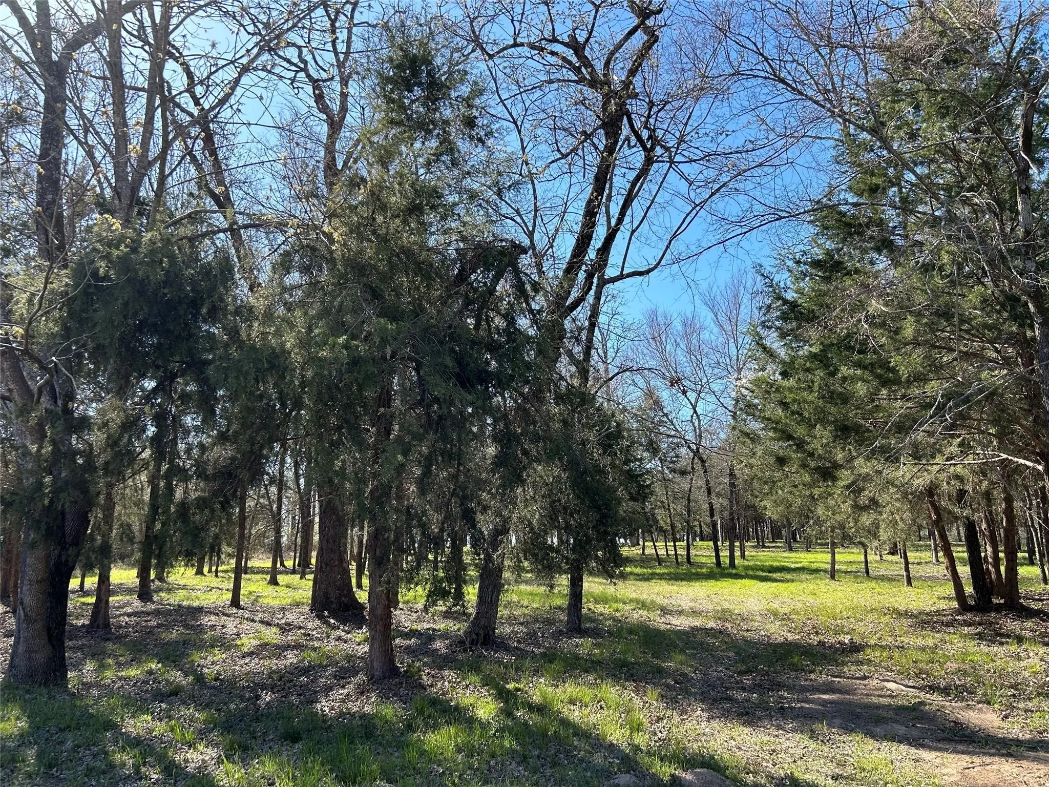 Unimproved Land For Sale in Freestone County , TBD SHENANDOAH Drive Lot 153-R, Streetman, Texas 75859, 0, 0, Garage spaces, 0 Sqft, built in 0, mls#21311182, Real Estate Agent in Streetman, Homes For Sale in Freestone county, Homes For Sale in Streetman, Realtor in Streetman Texas, Real Estate Brokerage Independent Realty Texas, Luminita Cordes Realtor