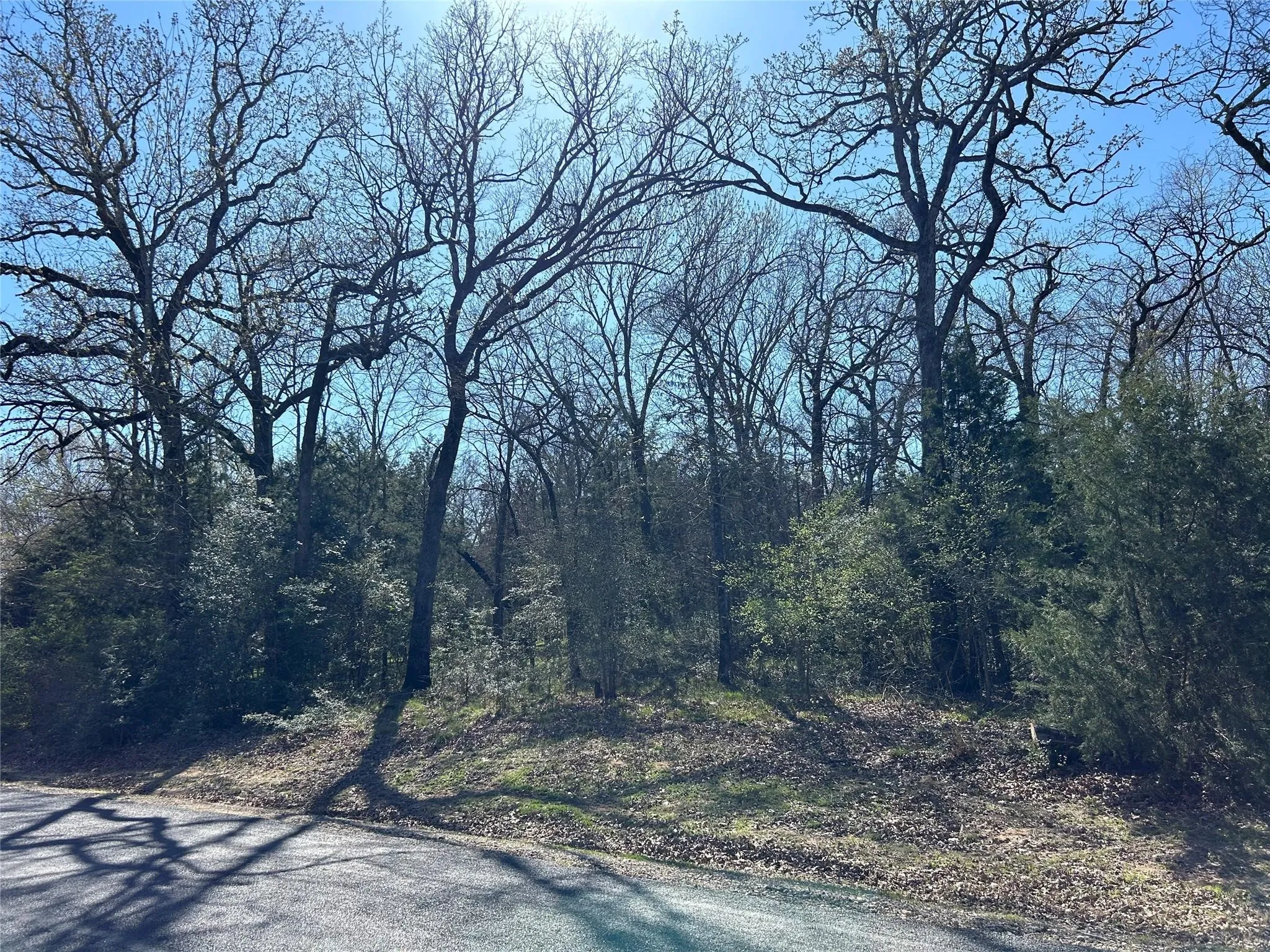 Unimproved Land For Sale in Freestone County , TBD SHENANDOAH Drive Lot 153-R, Streetman, Texas 75859, 0, 0, Garage spaces, 0 Sqft, built in 0, mls#21311182, Real Estate Agent in Streetman, Homes For Sale in Freestone county, Homes For Sale in Streetman, Realtor in Streetman Texas, Real Estate Brokerage Independent Realty Texas, Luminita Cordes Realtor