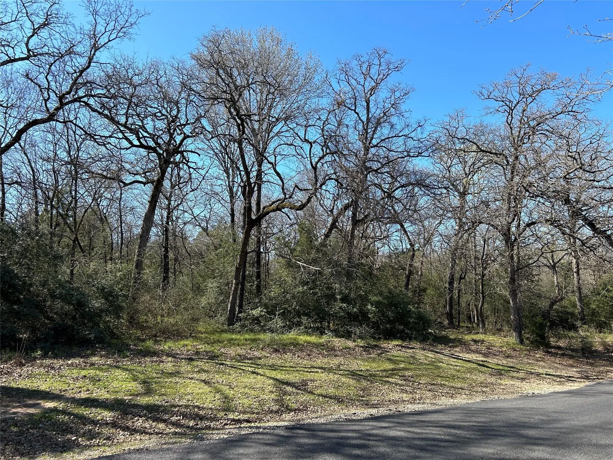 Unimproved Land For Sale in Freestone County , TBD SHENANDOAH Drive Lot 153-R, Streetman, Texas 75859, 0, 0, Garage spaces, 0 Sqft, built in 0, mls#21311182, Real Estate Agent in Streetman, Homes For Sale in Freestone county, Homes For Sale in Streetman, Realtor in Streetman Texas, Real Estate Brokerage Independent Realty Texas, Luminita Cordes Realtor
