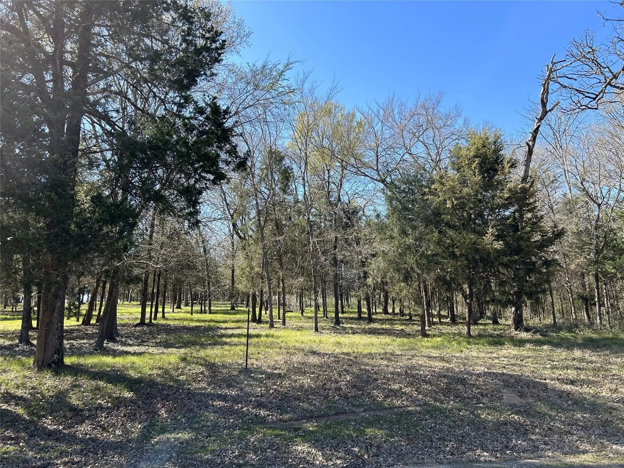 Unimproved Land For Sale in Freestone County , TBD SHENANDOAH Drive Lot 153-R, Streetman, Texas 75859, 0, 0, Garage spaces, 0 Sqft, built in 0, mls#21311182, Real Estate Agent in Streetman, Homes For Sale in Freestone county, Homes For Sale in Streetman, Realtor in Streetman Texas, Real Estate Brokerage Independent Realty Texas, Luminita Cordes Realtor