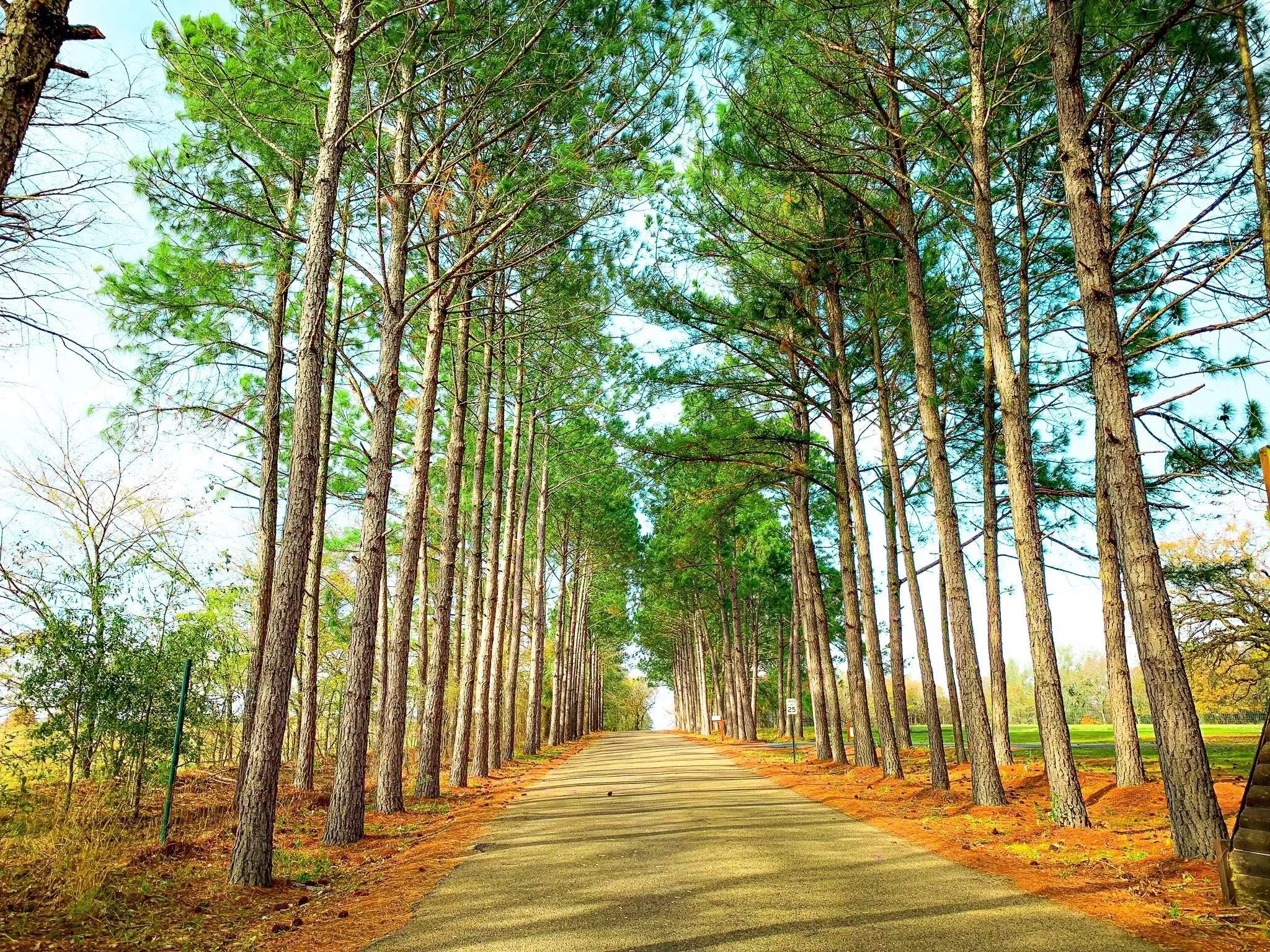 Unimproved Land For Sale in Freestone County , TBD SHENANDOAH Drive Lot 153-R, Streetman, Texas 75859, 0, 0, Garage spaces, 0 Sqft, built in 0, mls#21311182, Real Estate Agent in Streetman, Homes For Sale in Freestone county, Homes For Sale in Streetman, Realtor in Streetman Texas, Real Estate Brokerage Independent Realty Texas, Luminita Cordes Realtor