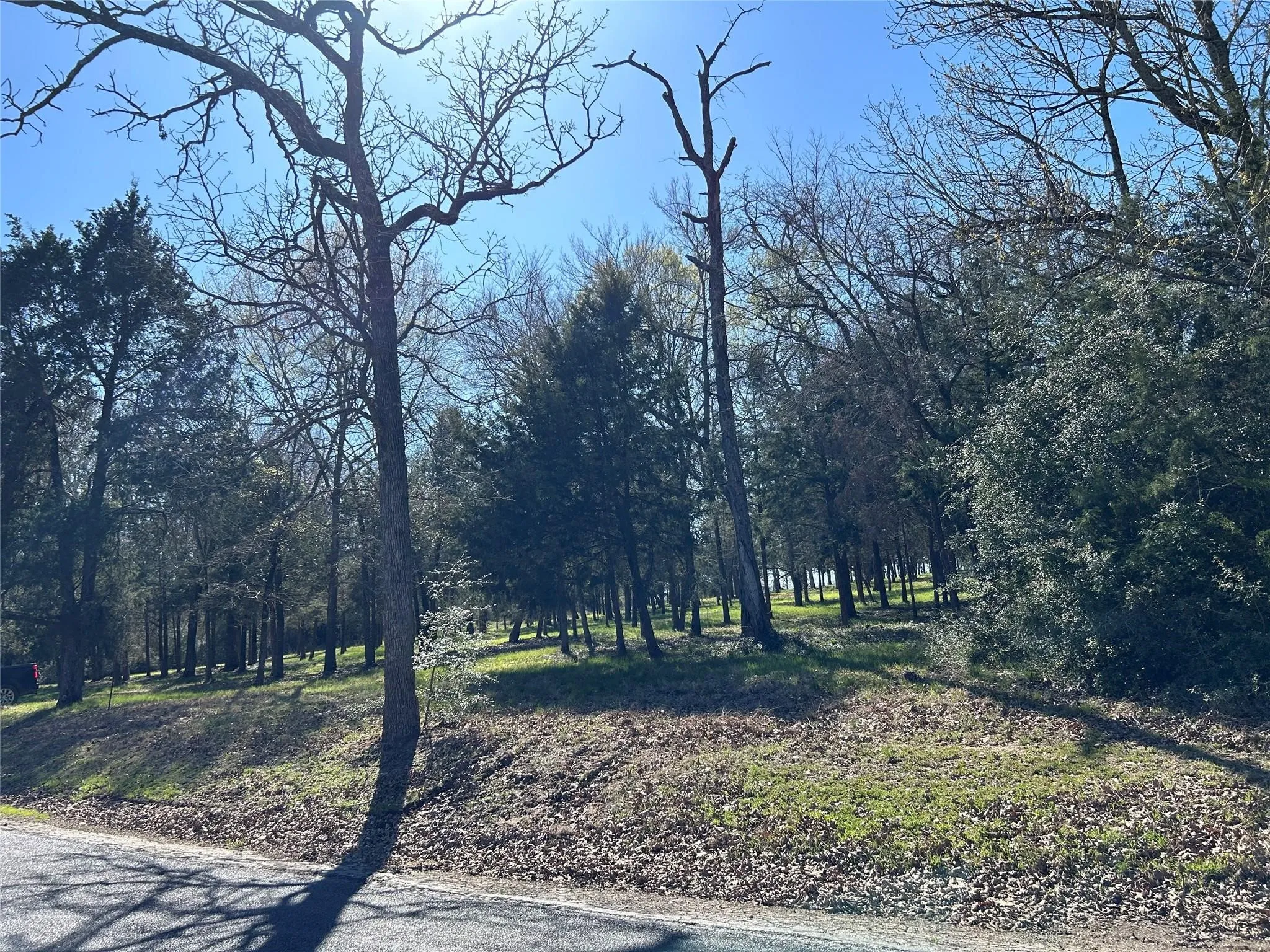 Unimproved Land For Sale in Freestone County , TBD SHENANDOAH Drive Lot 153-R, Streetman, Texas 75859, 0, 0, Garage spaces, 0 Sqft, built in 0, mls#21311182, Real Estate Agent in Streetman, Homes For Sale in Freestone county, Homes For Sale in Streetman, Realtor in Streetman Texas, Real Estate Brokerage Independent Realty Texas, Luminita Cordes Realtor