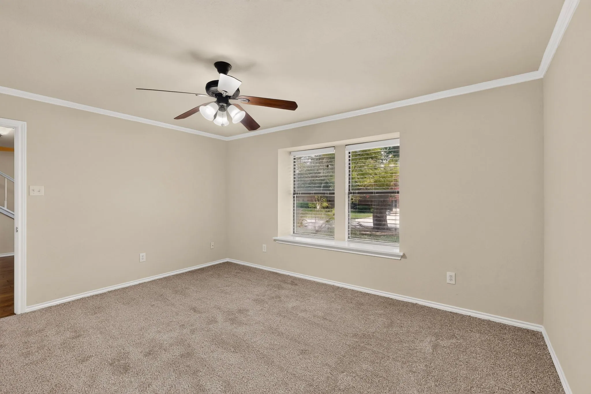 Carpeted room featuring a ceiling fan with light fixture, two windows with blinds, light-toned walls, white trim, and crown molding