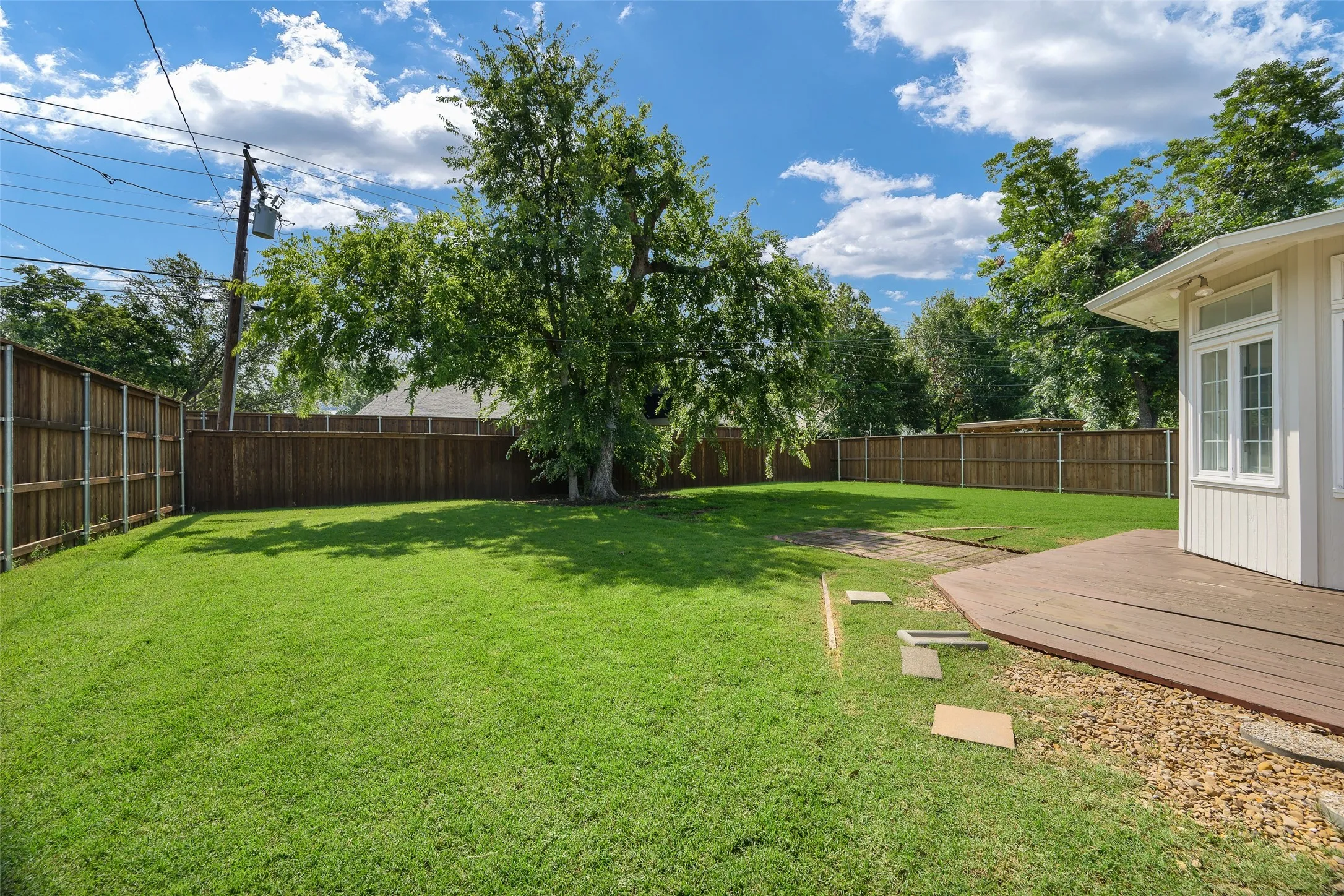Expansive green lawn with a mature tree