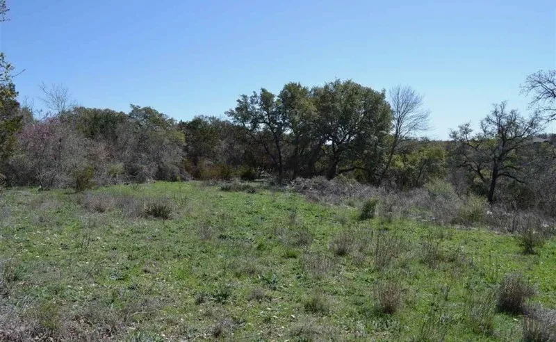 Wooded acreage