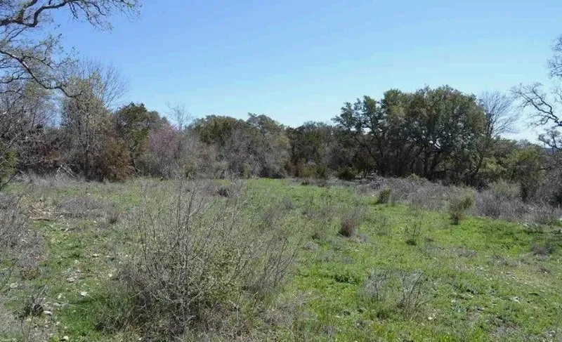 Wooded acreage