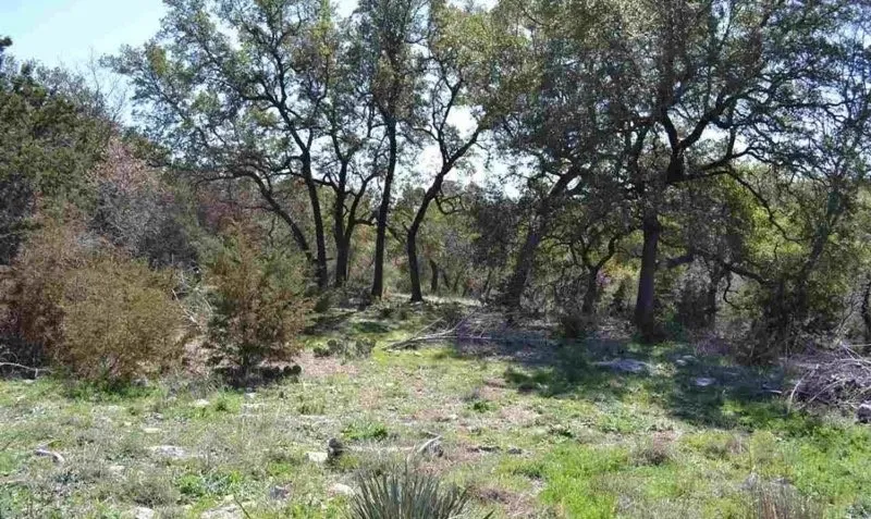 Wooded acreage