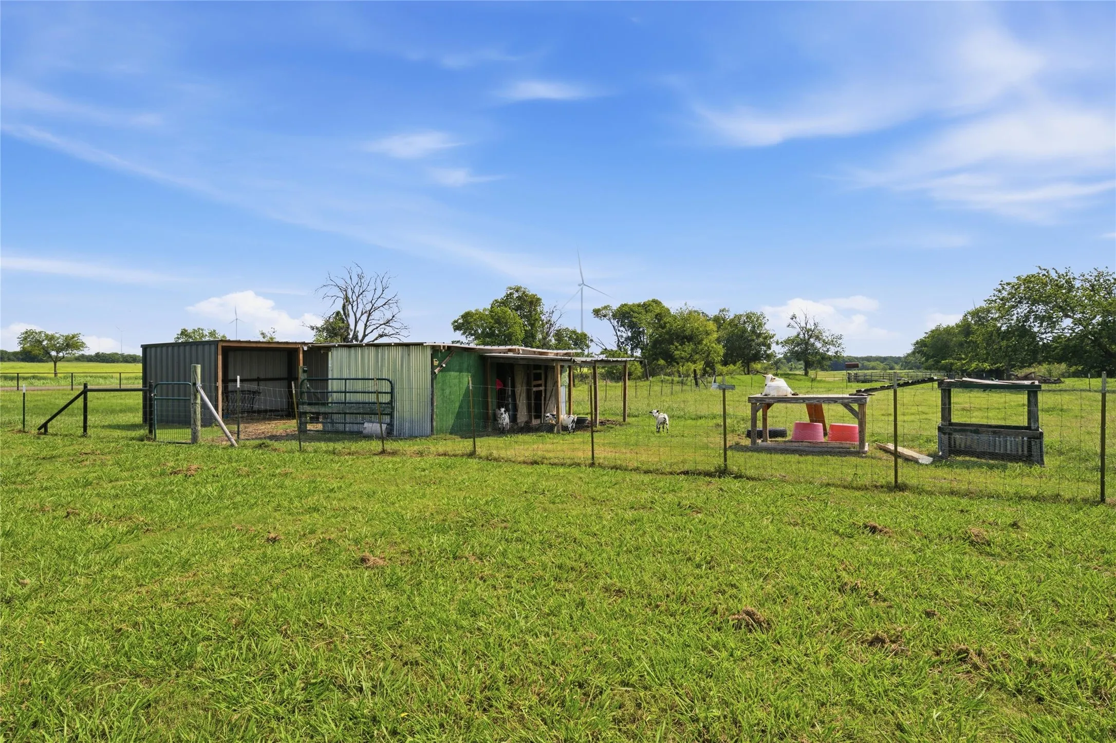 Single Family Residence For Sale in Limestone County , 1727 LCR 124, Mount Calm, Texas 76673, 4 Bedroom, 2 Bathroom, Garage spaces, 1,999 Sqft, built in 2006, mls#21309973, Real Estate Agent in Mount Calm, Homes For Sale in Limestone county, Homes For Sale in Mount Calm, Realtor in Mount Calm Texas, Real Estate Brokerage Independent Realty Texas, Luminita Cordes Realtor