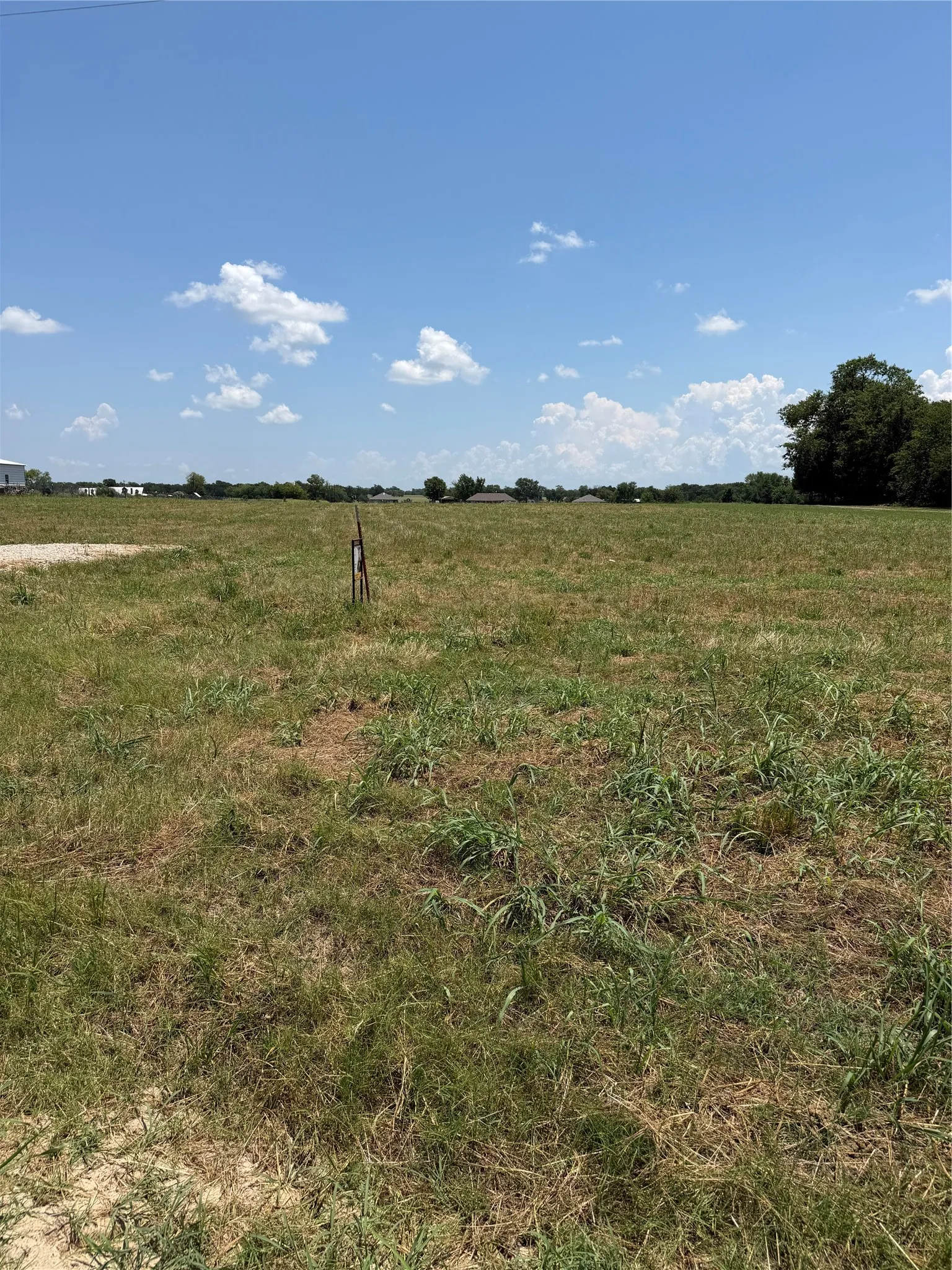 Unimproved Land For Sale in Rains County , TBD Fm 47, Point, Texas 75472, 0, 0, Garage spaces, 0 Sqft, built in 0, Price $91,200, mls#21308825, Real Estate Agent in Point, Homes For Sale in Rains county, Homes For Sale in Point, Realtor in Point Texas, Real Estate Brokerage Independent Realty Texas, Luminita Cordes Realtor