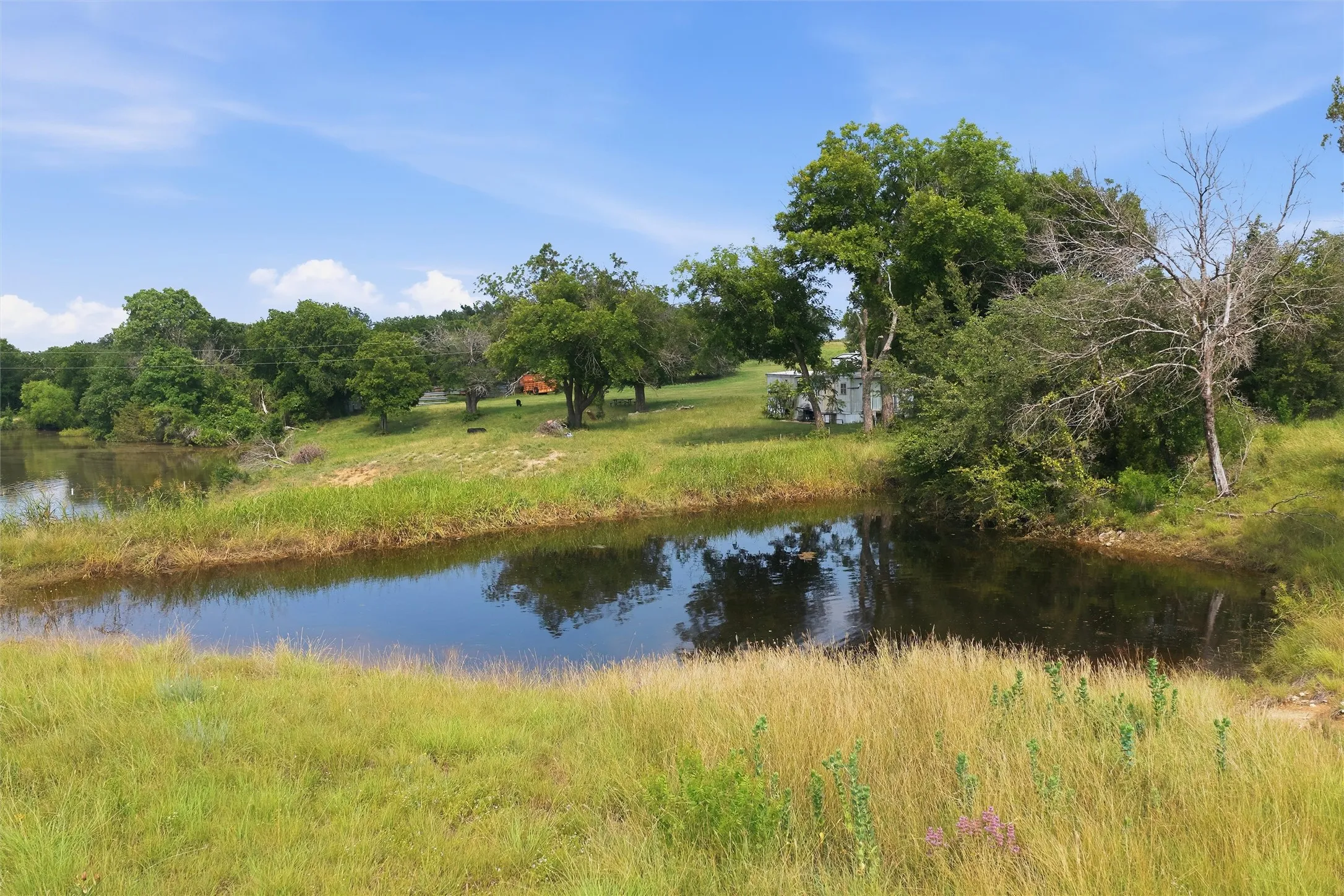 Farm For Sale in Hamilton County , 5835 N Fm 1744, Hico, Texas 76457, 4 Bedroom, 3 Bathroom, 2 Garage spaces, 2,200 Sqft, built in 2010, mls#21311232, Real Estate Agent in Hico, Homes For Sale in Hamilton county, Homes For Sale in Hico, Realtor in Hico Texas, Real Estate Brokerage Independent Realty Texas, Luminita Cordes Realtor