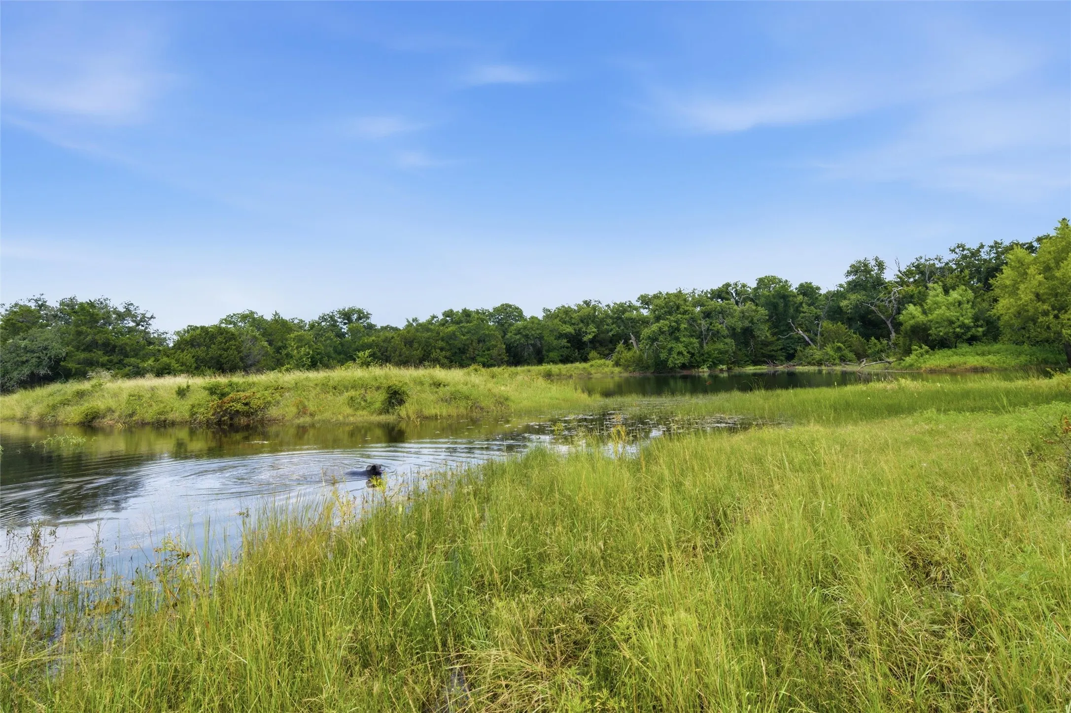 Farm For Sale in Hamilton County , 5835 N Fm 1744, Hico, Texas 76457, 4 Bedroom, 3 Bathroom, 2 Garage spaces, 2,200 Sqft, built in 2010, mls#21311232, Real Estate Agent in Hico, Homes For Sale in Hamilton county, Homes For Sale in Hico, Realtor in Hico Texas, Real Estate Brokerage Independent Realty Texas, Luminita Cordes Realtor