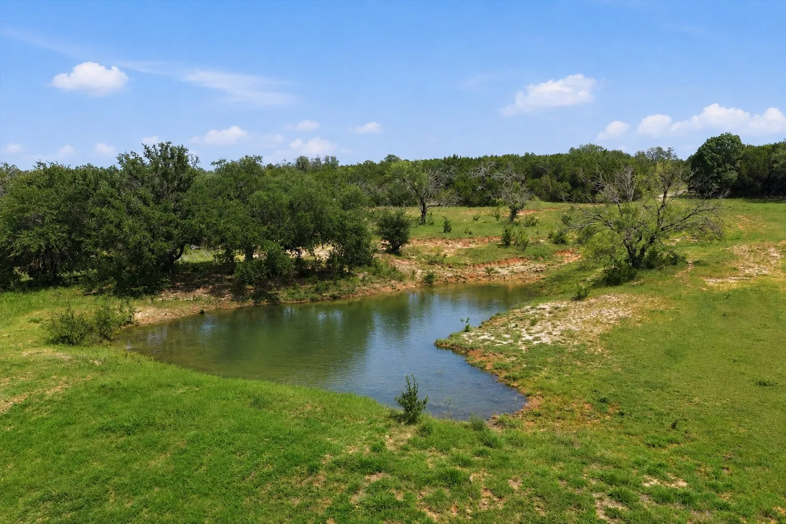 Farm For Sale in Hamilton County , 5835 N Fm 1744, Hico, Texas 76457, 4 Bedroom, 3 Bathroom, 2 Garage spaces, 2,200 Sqft, built in 2010, mls#21311232, Real Estate Agent in Hico, Homes For Sale in Hamilton county, Homes For Sale in Hico, Realtor in Hico Texas, Real Estate Brokerage Independent Realty Texas, Luminita Cordes Realtor