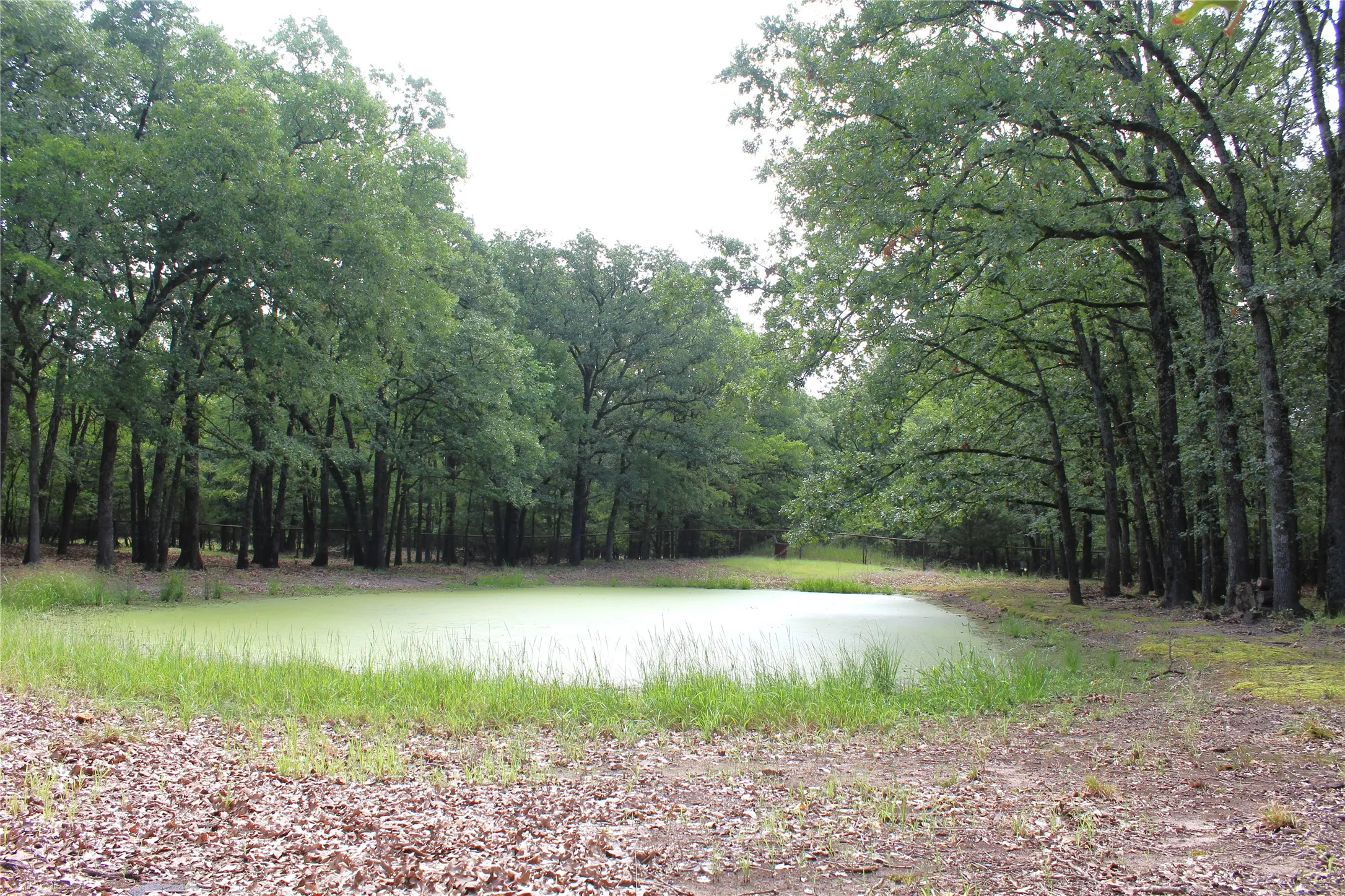 Mobile Home For Sale in Hunt County , 1204 Red Hawk Bay Drive, West Tawakoni, Texas 75474, 4 Bedrooms, 2 Bathrooms, Garage spaces, 1,484 Sqft, built in 1970, Price $150,000, mls#21309362, Real Estate Agent in West Tawakoni, Homes For Sale in Hunt county, Homes For Sale in West Tawakoni, Realtor in West Tawakoni Texas, Real Estate Brokerage Independent Realty Texas, Luminita Cordes Realtor
