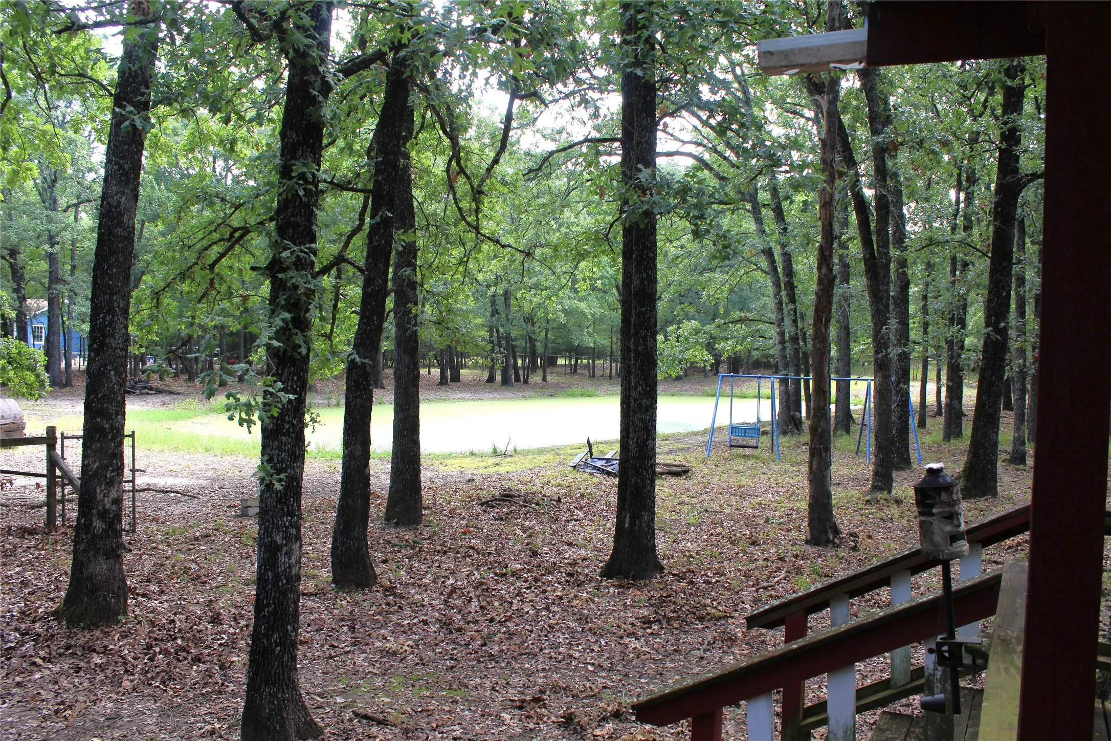 View of Pond from back deck