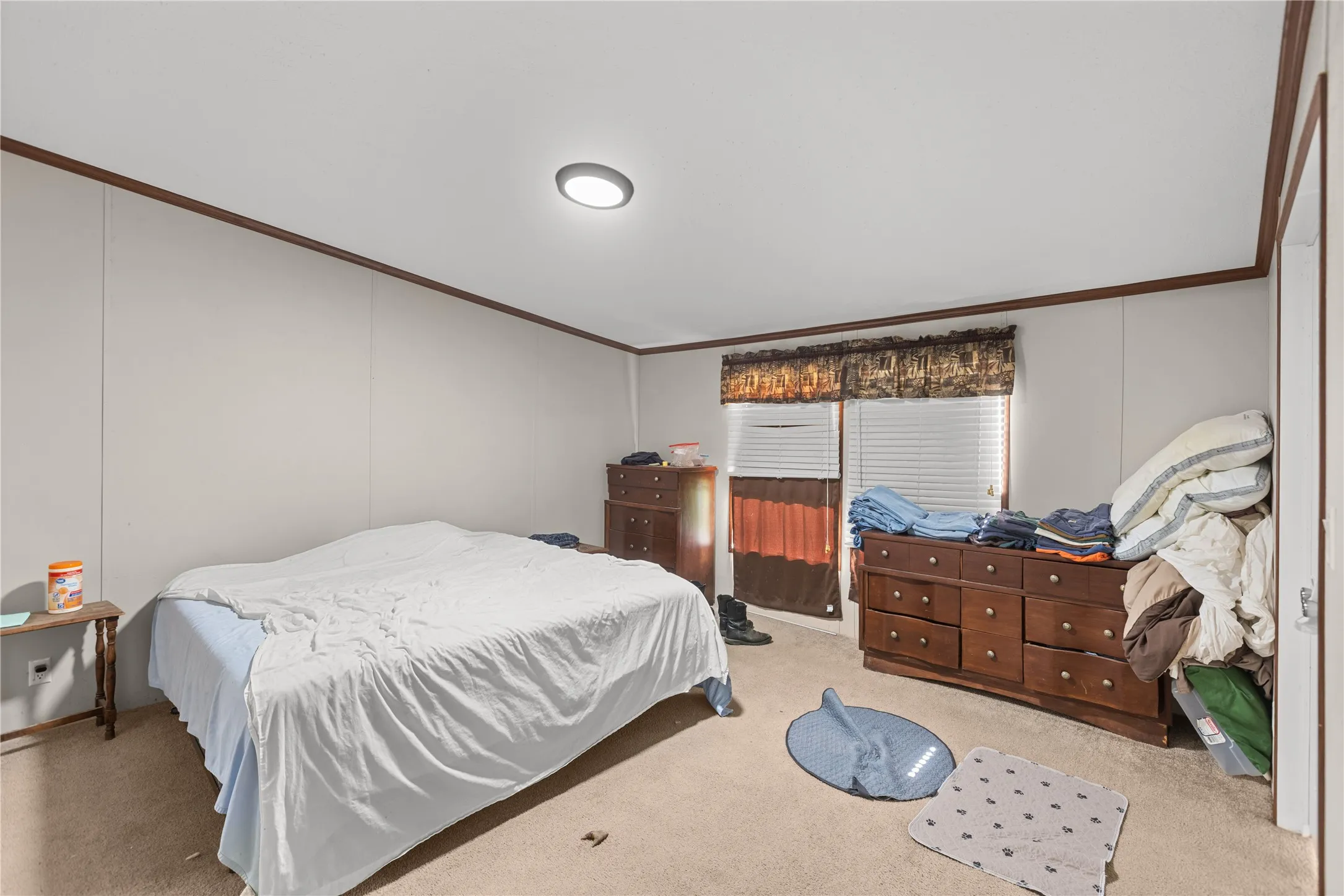 Bedroom featuring light-colored wall panels with dark trim, neutral carpet flooring, a window with blinds and valance, and a ceiling-mounted light fixture