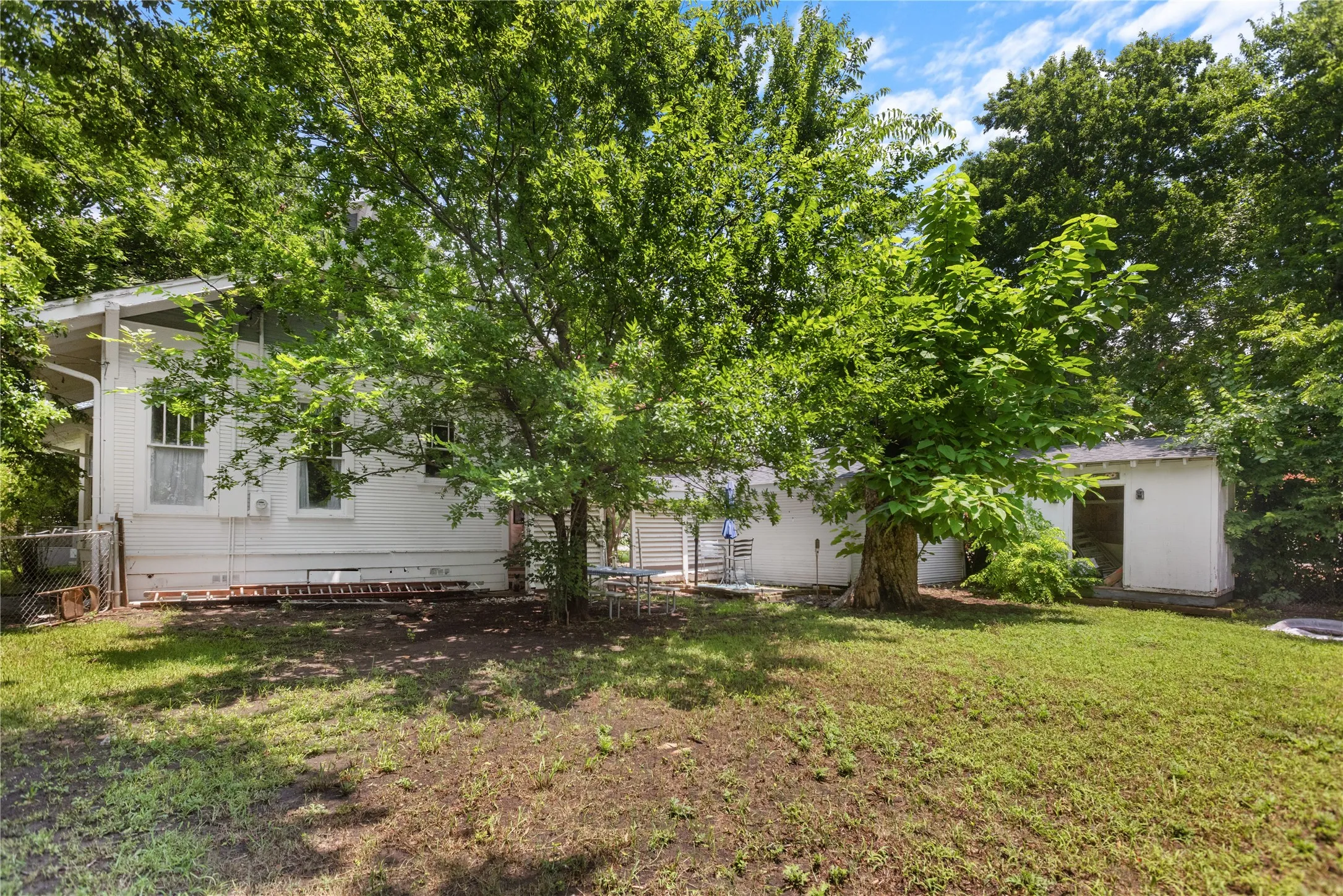 Expansive rear yard featuring mature trees and a detached shed