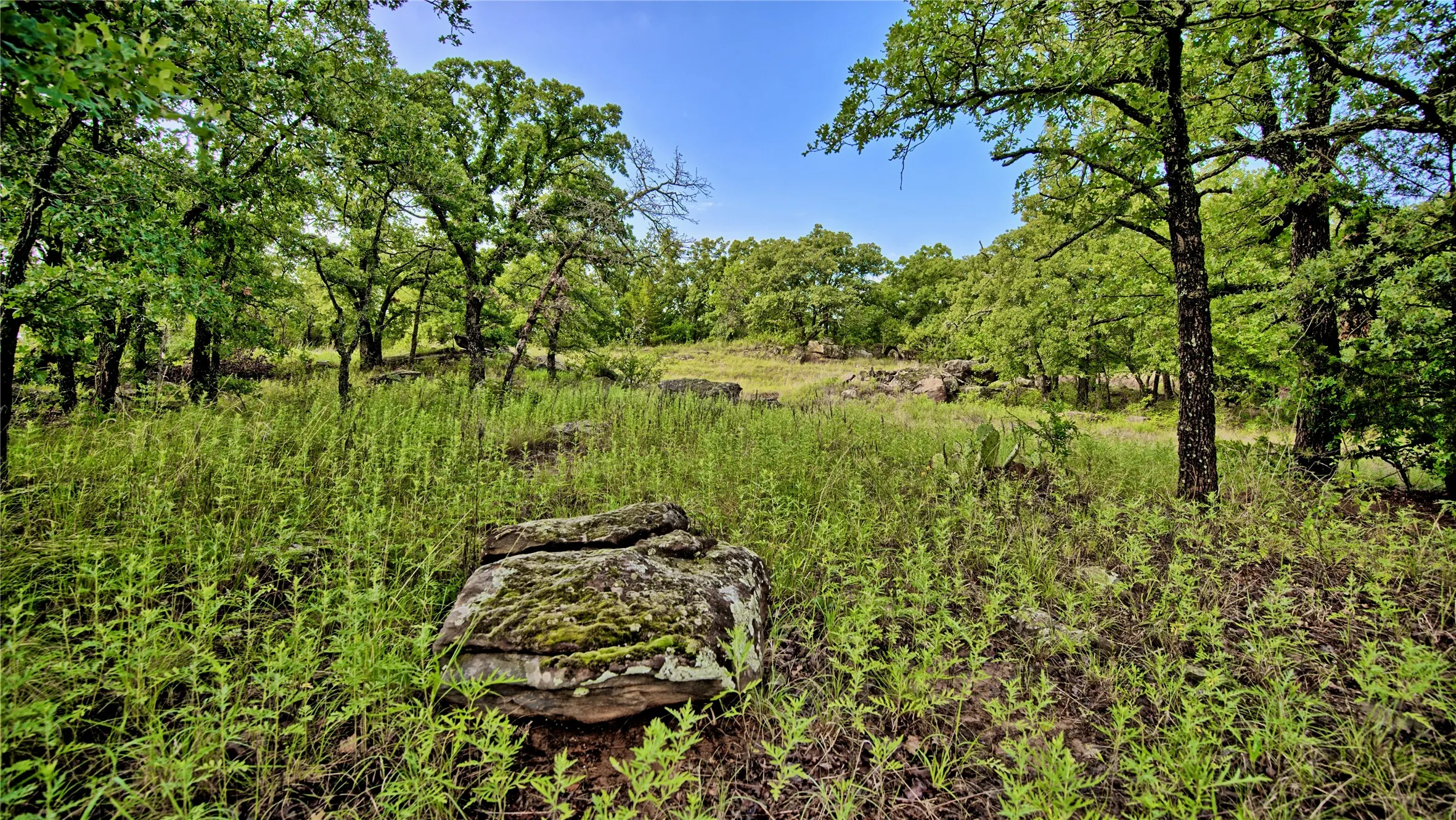 Single Family Residence For Sale in Montague County , 978 Longbranch Road, Nocona, Texas 76255, 3 Bedroom, 2 Bathroom, Garage spaces, 1,914 Sqft, built in 1977, mls#21309997, Real Estate Agent in Nocona, Homes For Sale in Montague county, Homes For Sale in Nocona, Realtor in Nocona Texas, Real Estate Brokerage Independent Realty Texas, Luminita Cordes Realtor