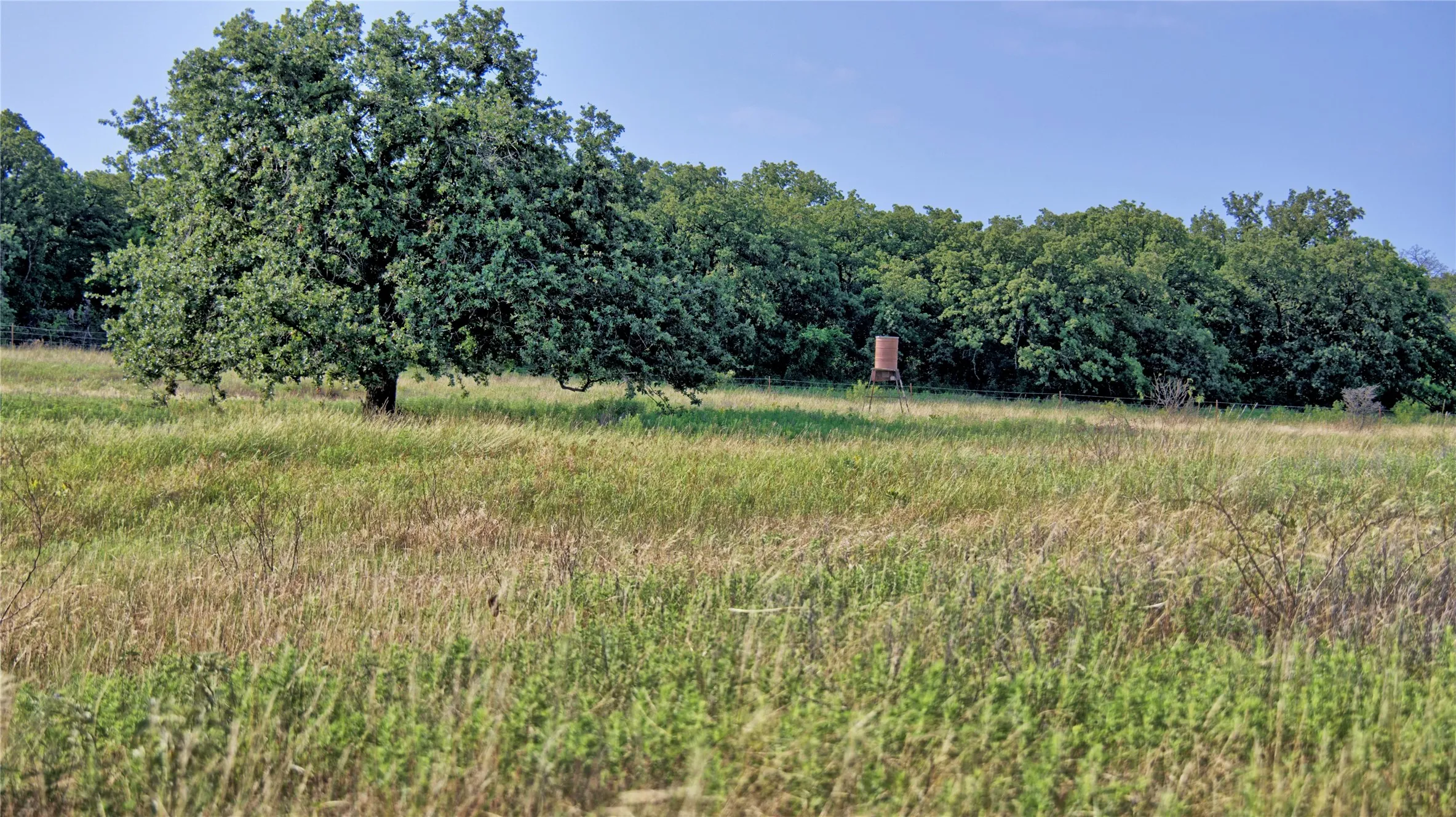 Single Family Residence For Sale in Montague County , 978 Longbranch Road, Nocona, Texas 76255, 3 Bedroom, 2 Bathroom, Garage spaces, 1,914 Sqft, built in 1977, mls#21309997, Real Estate Agent in Nocona, Homes For Sale in Montague county, Homes For Sale in Nocona, Realtor in Nocona Texas, Real Estate Brokerage Independent Realty Texas, Luminita Cordes Realtor