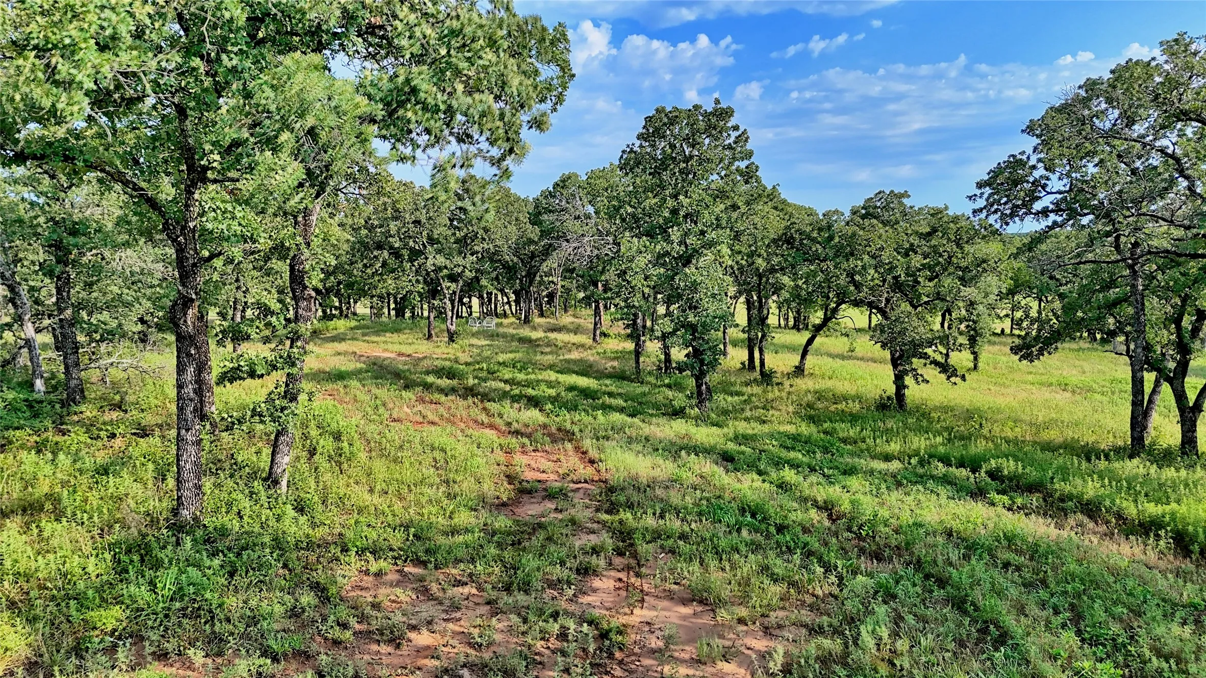 Single Family Residence For Sale in Montague County , 978 Longbranch Road, Nocona, Texas 76255, 3 Bedroom, 2 Bathroom, Garage spaces, 1,914 Sqft, built in 1977, mls#21309997, Real Estate Agent in Nocona, Homes For Sale in Montague county, Homes For Sale in Nocona, Realtor in Nocona Texas, Real Estate Brokerage Independent Realty Texas, Luminita Cordes Realtor