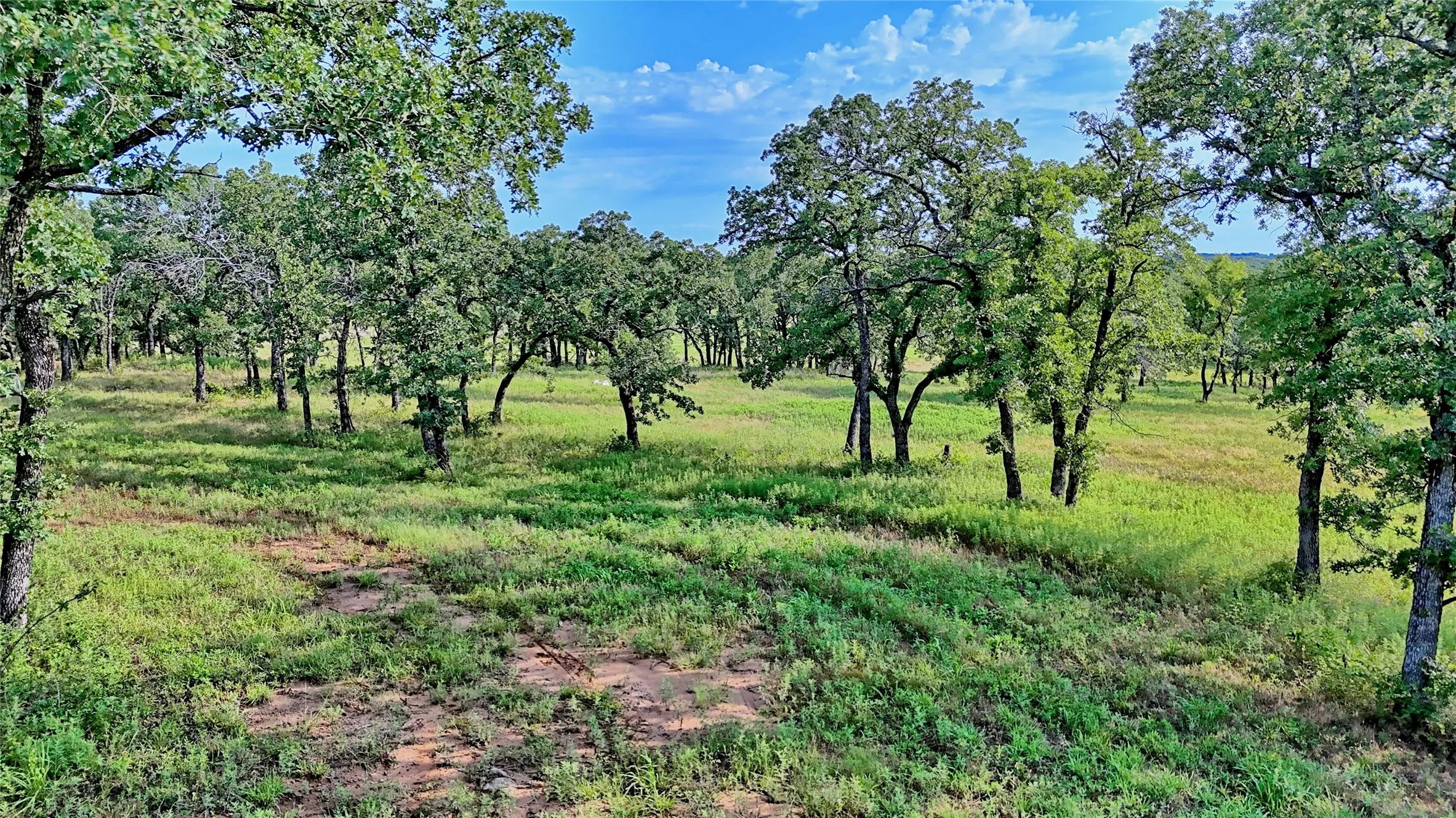 Single Family Residence For Sale in Montague County , 978 Longbranch Road, Nocona, Texas 76255, 3 Bedroom, 2 Bathroom, Garage spaces, 1,914 Sqft, built in 1977, mls#21309997, Real Estate Agent in Nocona, Homes For Sale in Montague county, Homes For Sale in Nocona, Realtor in Nocona Texas, Real Estate Brokerage Independent Realty Texas, Luminita Cordes Realtor