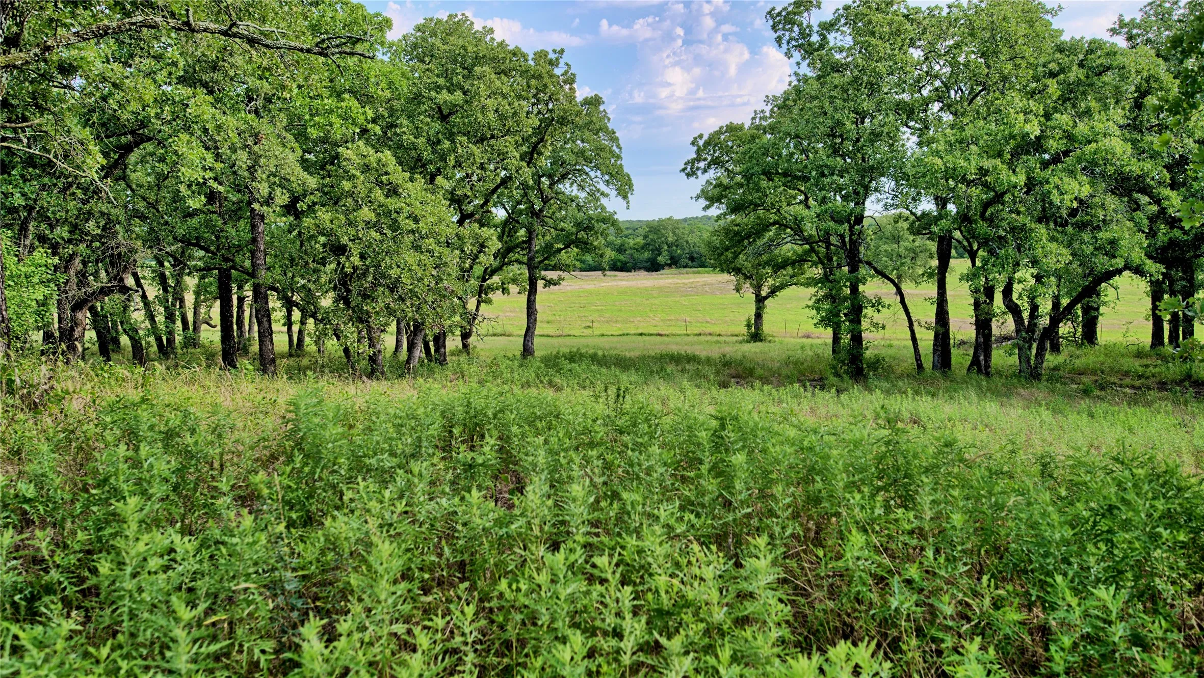 Land