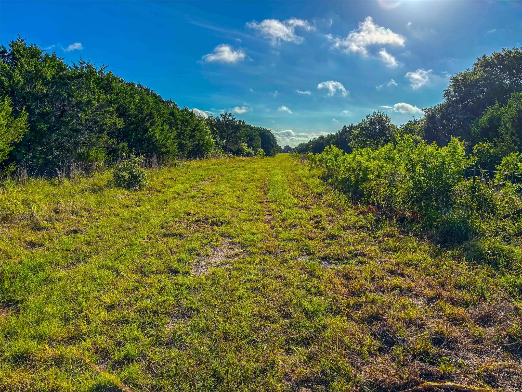 Unimproved Land For Sale in Bosque County , UNK Private Road 2131, Iredell, Texas 76649, 0, 0, Garage spaces, 0 Sqft, built in 0, mls#21308850, Real Estate Agent in Iredell, Homes For Sale in Bosque county, Homes For Sale in Iredell, Realtor in Iredell Texas, Real Estate Brokerage Independent Realty Texas, Luminita Cordes Realtor