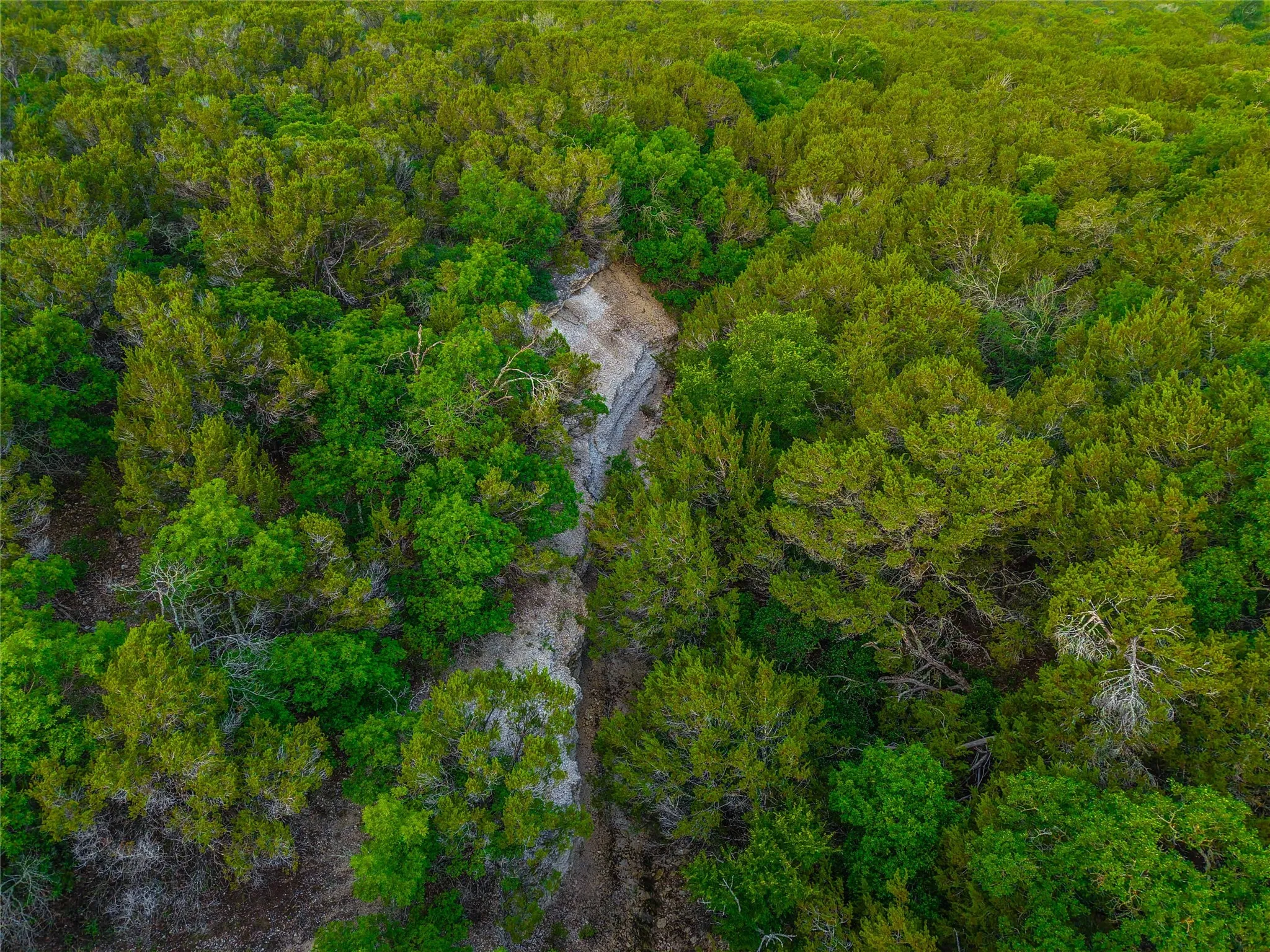 Unimproved Land For Sale in Bosque County , UNK Private Road 2131, Iredell, Texas 76649, 0, 0, Garage spaces, 0 Sqft, built in 0, mls#21308850, Real Estate Agent in Iredell, Homes For Sale in Bosque county, Homes For Sale in Iredell, Realtor in Iredell Texas, Real Estate Brokerage Independent Realty Texas, Luminita Cordes Realtor