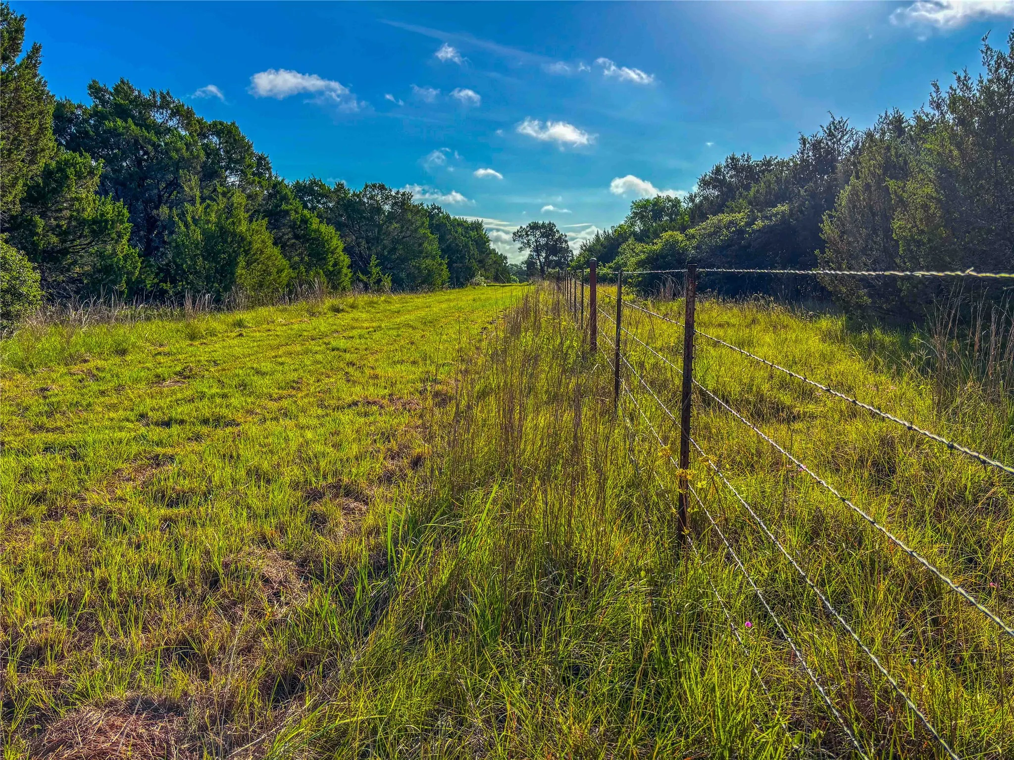 Unimproved Land For Sale in Bosque County , UNK Private Road 2131, Iredell, Texas 76649, 0, 0, Garage spaces, 0 Sqft, built in 0, mls#21308850, Real Estate Agent in Iredell, Homes For Sale in Bosque county, Homes For Sale in Iredell, Realtor in Iredell Texas, Real Estate Brokerage Independent Realty Texas, Luminita Cordes Realtor