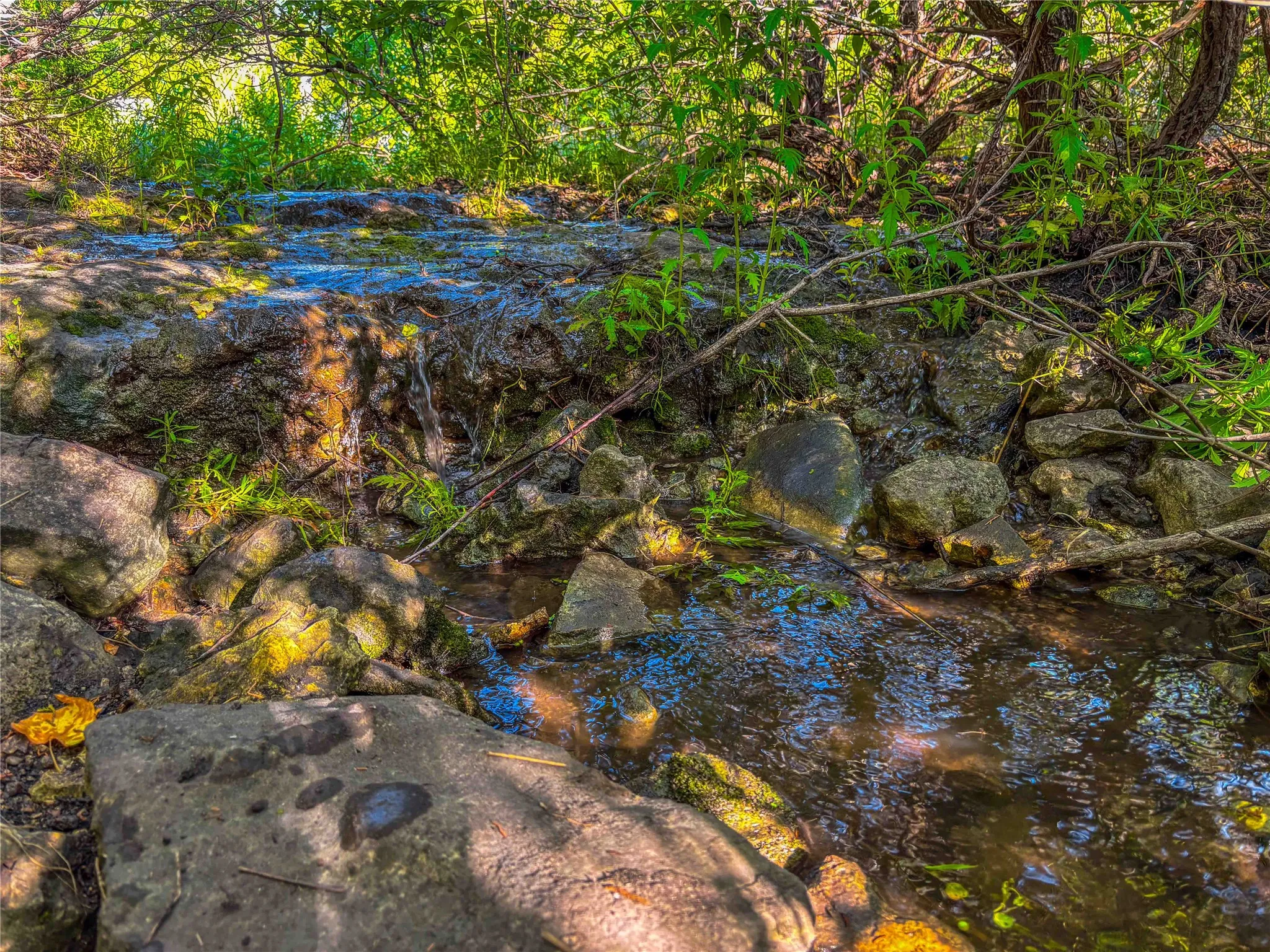 Unimproved Land For Sale in Bosque County , UNK Private Road 2131, Iredell, Texas 76649, 0, 0, Garage spaces, 0 Sqft, built in 0, mls#21308850, Real Estate Agent in Iredell, Homes For Sale in Bosque county, Homes For Sale in Iredell, Realtor in Iredell Texas, Real Estate Brokerage Independent Realty Texas, Luminita Cordes Realtor