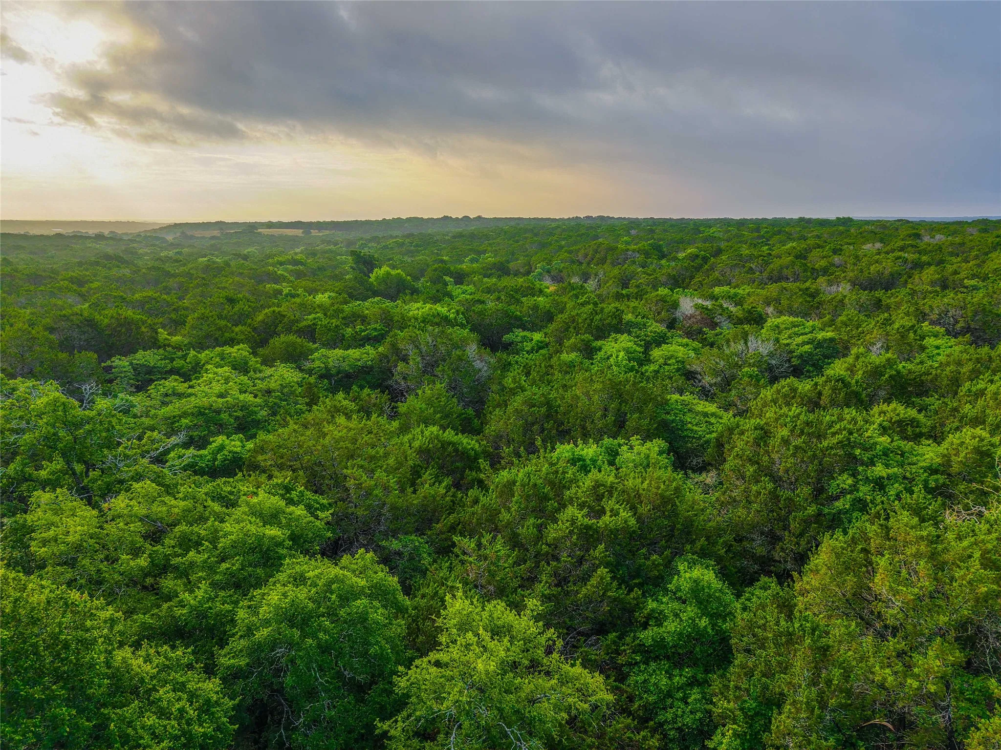 Unimproved Land For Sale in Bosque County , UNK Private Road 2131, Iredell, Texas 76649, 0, 0, Garage spaces, 0 Sqft, built in 0, mls#21308850, Real Estate Agent in Iredell, Homes For Sale in Bosque county, Homes For Sale in Iredell, Realtor in Iredell Texas, Real Estate Brokerage Independent Realty Texas, Luminita Cordes Realtor