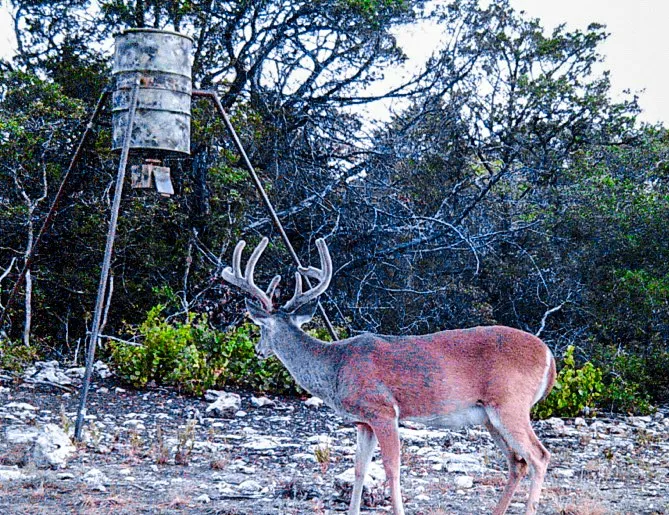 Unimproved Land For Sale in Bosque County , UNK Private Road 2131, Iredell, Texas 76649, 0, 0, Garage spaces, 0 Sqft, built in 0, mls#21308850, Real Estate Agent in Iredell, Homes For Sale in Bosque county, Homes For Sale in Iredell, Realtor in Iredell Texas, Real Estate Brokerage Independent Realty Texas, Luminita Cordes Realtor