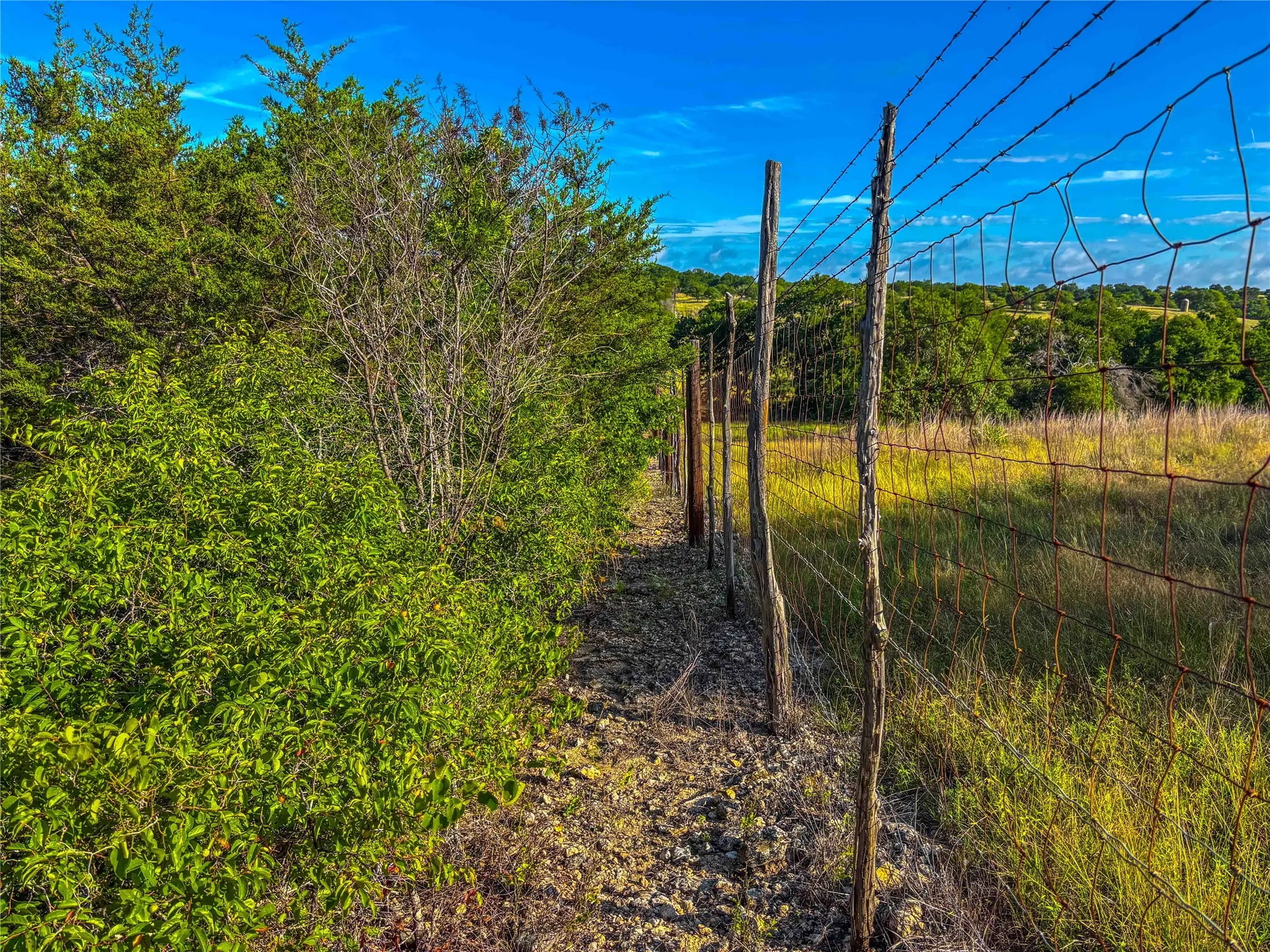 Unimproved Land For Sale in Bosque County , UNK Private Road 2131, Iredell, Texas 76649, 0, 0, Garage spaces, 0 Sqft, built in 0, mls#21308850, Real Estate Agent in Iredell, Homes For Sale in Bosque county, Homes For Sale in Iredell, Realtor in Iredell Texas, Real Estate Brokerage Independent Realty Texas, Luminita Cordes Realtor