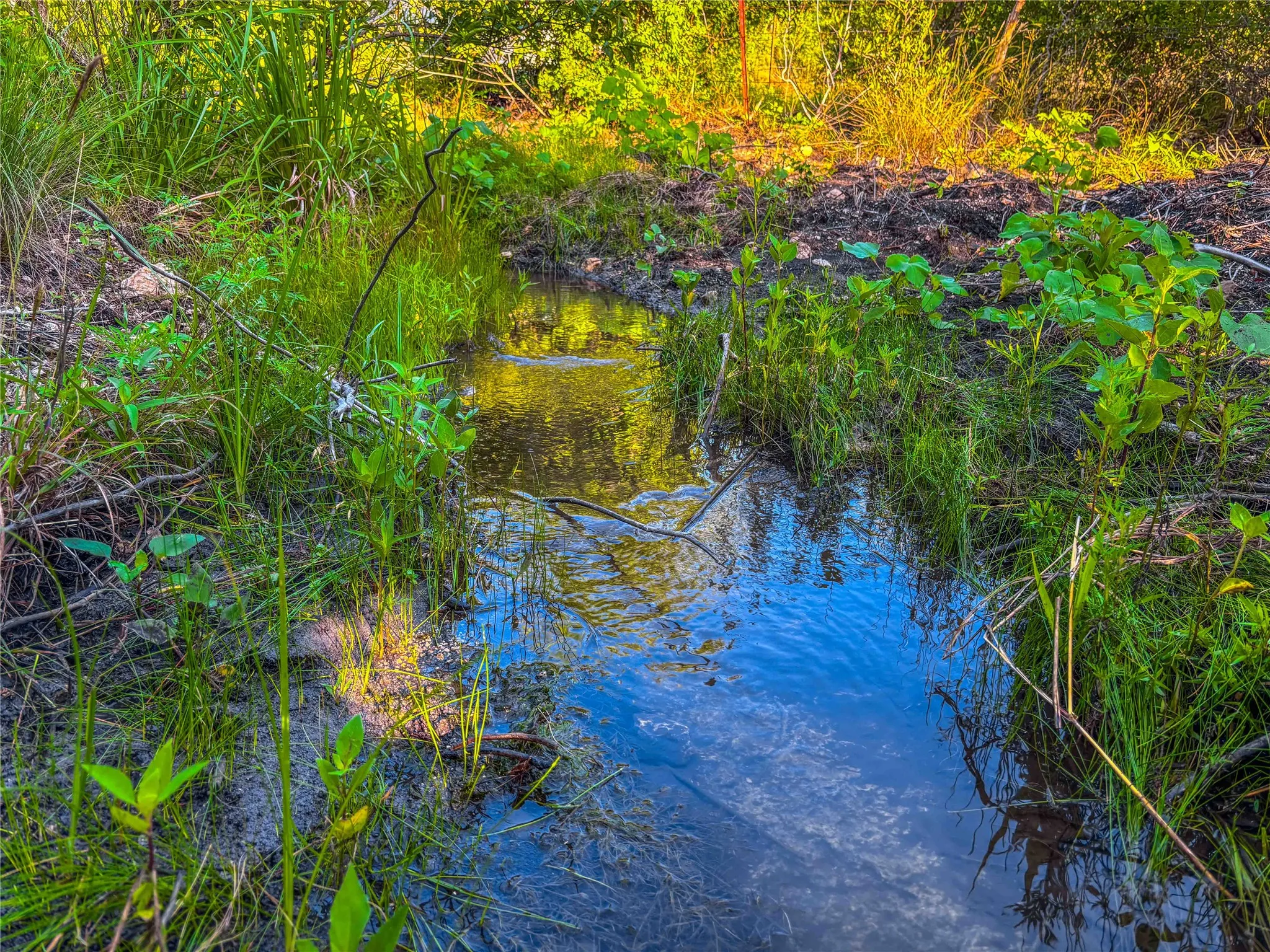 Unimproved Land For Sale in Bosque County , UNK Private Road 2131, Iredell, Texas 76649, 0, 0, Garage spaces, 0 Sqft, built in 0, mls#21308850, Real Estate Agent in Iredell, Homes For Sale in Bosque county, Homes For Sale in Iredell, Realtor in Iredell Texas, Real Estate Brokerage Independent Realty Texas, Luminita Cordes Realtor
