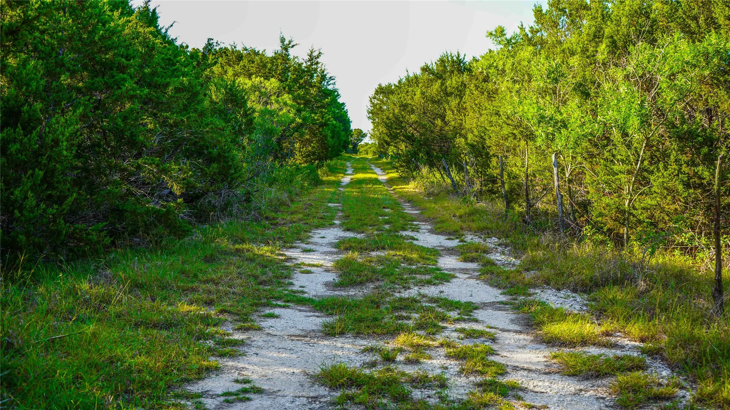 Unimproved Land For Sale in Bosque County , UNK Private Road 2131, Iredell, Texas 76649, 0, 0, Garage spaces, 0 Sqft, built in 0, mls#21308850, Real Estate Agent in Iredell, Homes For Sale in Bosque county, Homes For Sale in Iredell, Realtor in Iredell Texas, Real Estate Brokerage Independent Realty Texas, Luminita Cordes Realtor