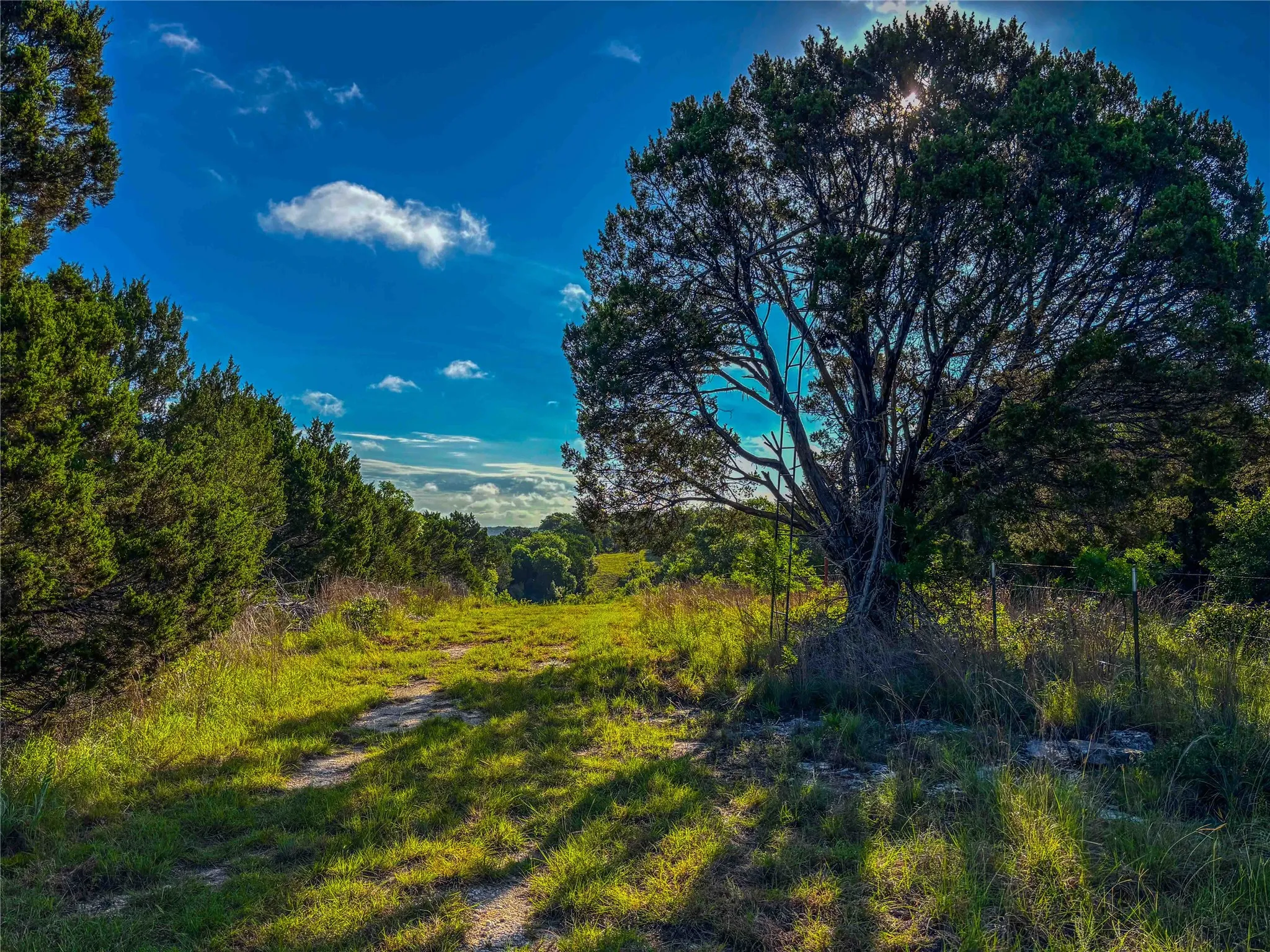 Unimproved Land For Sale in Bosque County , UNK Private Road 2131, Iredell, Texas 76649, 0, 0, Garage spaces, 0 Sqft, built in 0, mls#21308850, Real Estate Agent in Iredell, Homes For Sale in Bosque county, Homes For Sale in Iredell, Realtor in Iredell Texas, Real Estate Brokerage Independent Realty Texas, Luminita Cordes Realtor