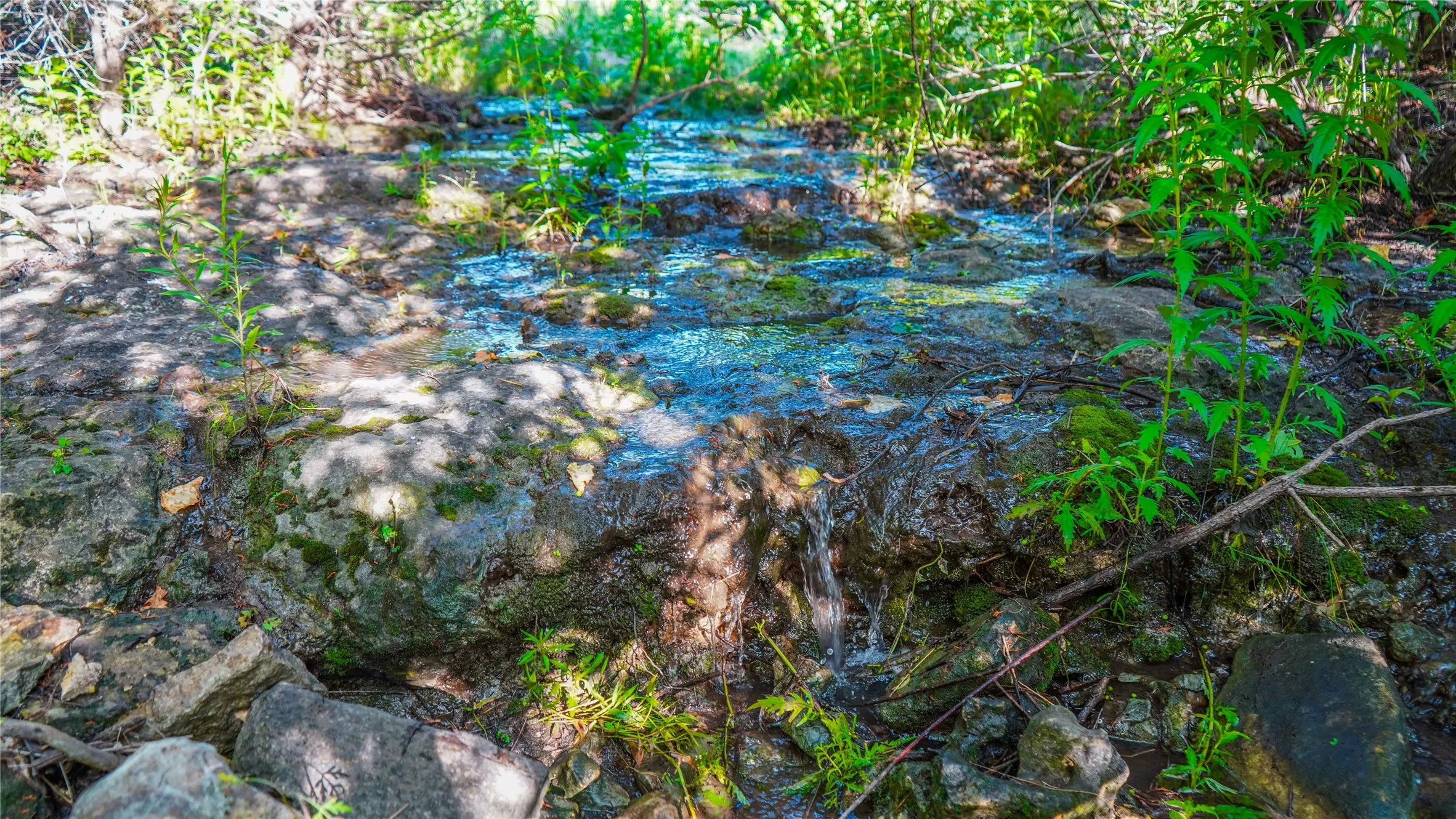 Unimproved Land For Sale in Bosque County , UNK Private Road 2131, Iredell, Texas 76649, 0, 0, Garage spaces, 0 Sqft, built in 0, mls#21308850, Real Estate Agent in Iredell, Homes For Sale in Bosque county, Homes For Sale in Iredell, Realtor in Iredell Texas, Real Estate Brokerage Independent Realty Texas, Luminita Cordes Realtor