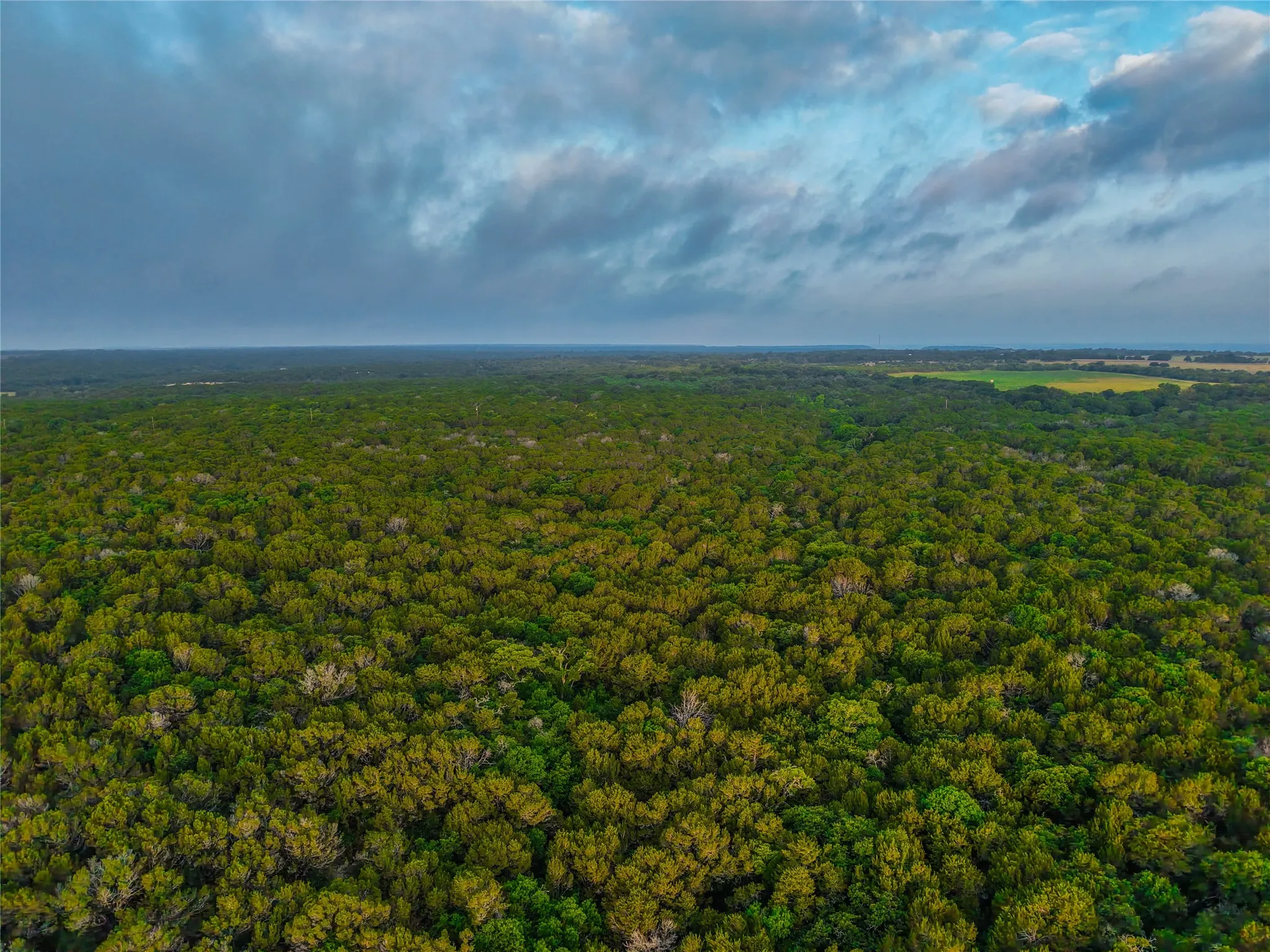 Unimproved Land For Sale in Bosque County , UNK Private Road 2131, Iredell, Texas 76649, 0, 0, Garage spaces, 0 Sqft, built in 0, mls#21308850, Real Estate Agent in Iredell, Homes For Sale in Bosque county, Homes For Sale in Iredell, Realtor in Iredell Texas, Real Estate Brokerage Independent Realty Texas, Luminita Cordes Realtor