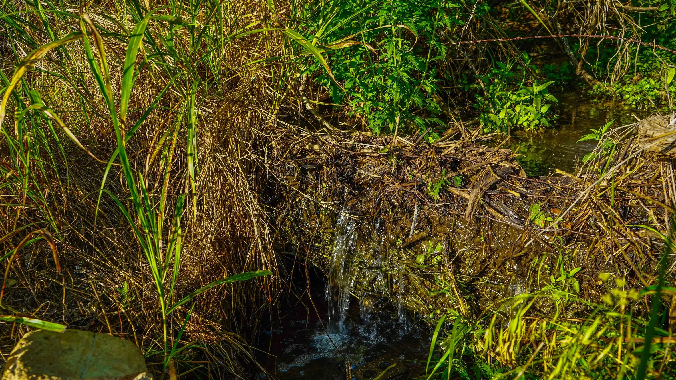 Unimproved Land For Sale in Bosque County , UNK Private Road 2131, Iredell, Texas 76649, 0, 0, Garage spaces, 0 Sqft, built in 0, mls#21308850, Real Estate Agent in Iredell, Homes For Sale in Bosque county, Homes For Sale in Iredell, Realtor in Iredell Texas, Real Estate Brokerage Independent Realty Texas, Luminita Cordes Realtor