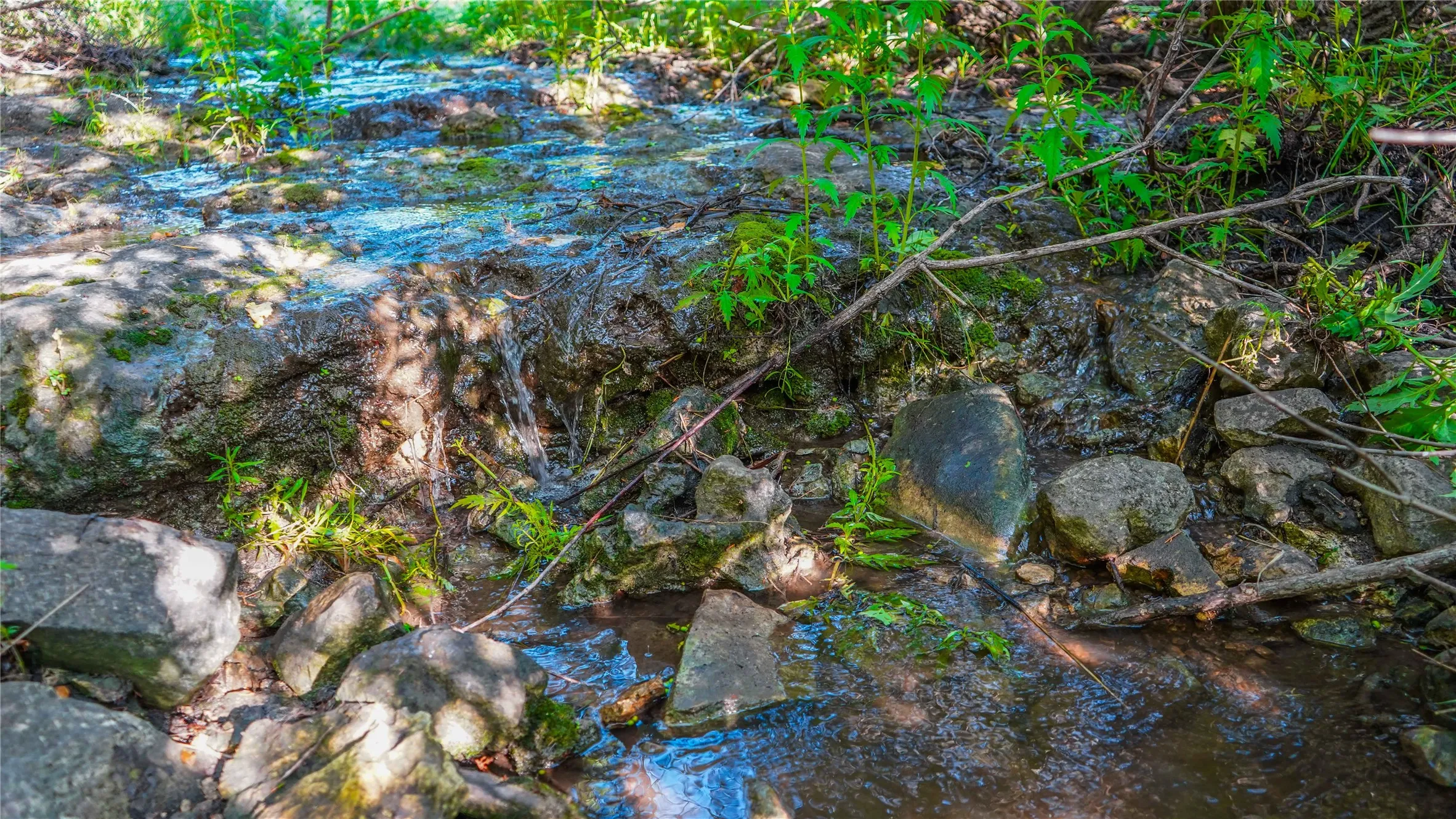 Unimproved Land For Sale in Bosque County , UNK Private Road 2131, Iredell, Texas 76649, 0, 0, Garage spaces, 0 Sqft, built in 0, mls#21308850, Real Estate Agent in Iredell, Homes For Sale in Bosque county, Homes For Sale in Iredell, Realtor in Iredell Texas, Real Estate Brokerage Independent Realty Texas, Luminita Cordes Realtor