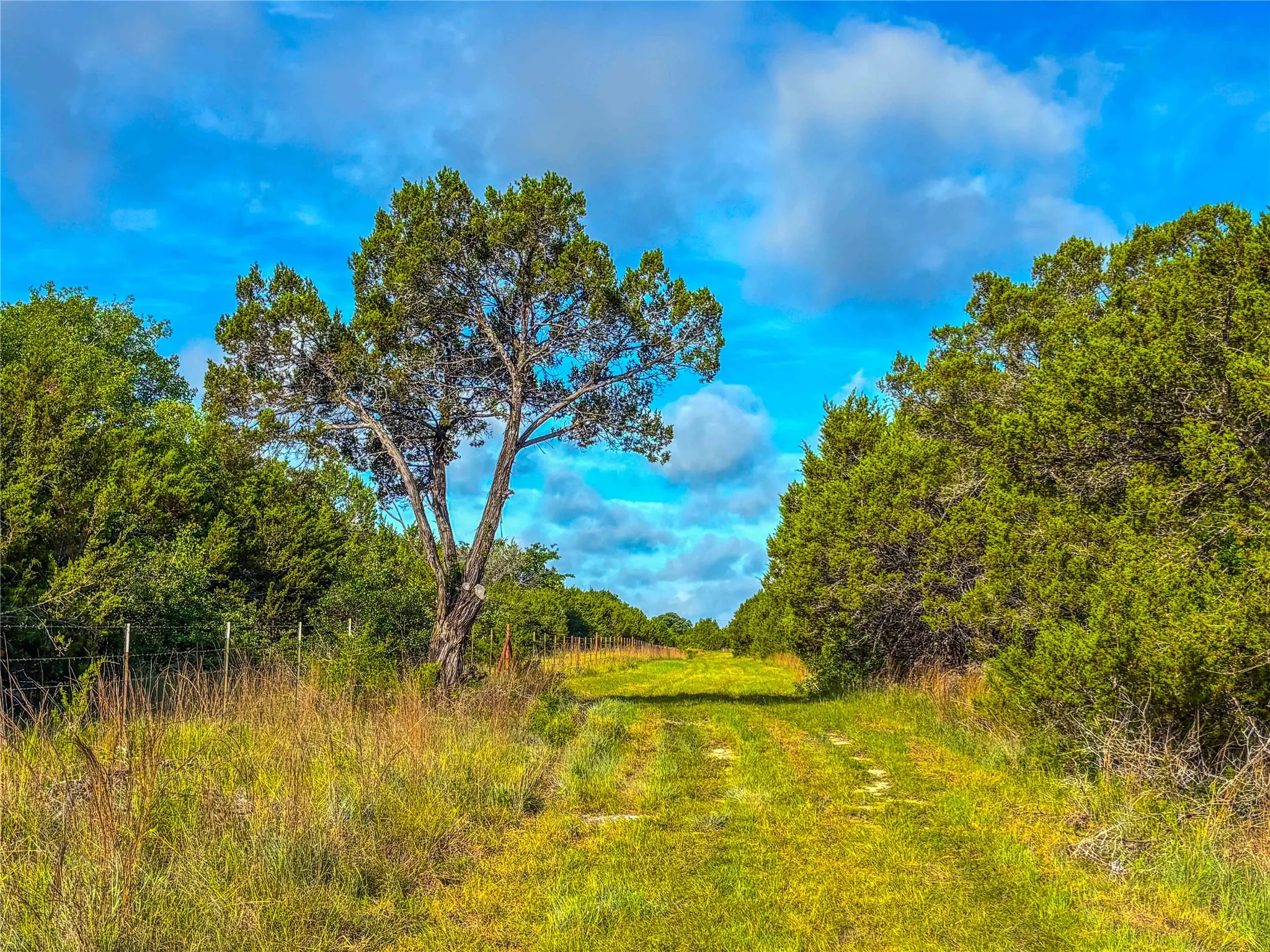 Unimproved Land For Sale in Bosque County , UNK Private Road 2131, Iredell, Texas 76649, 0, 0, Garage spaces, 0 Sqft, built in 0, mls#21308850, Real Estate Agent in Iredell, Homes For Sale in Bosque county, Homes For Sale in Iredell, Realtor in Iredell Texas, Real Estate Brokerage Independent Realty Texas, Luminita Cordes Realtor