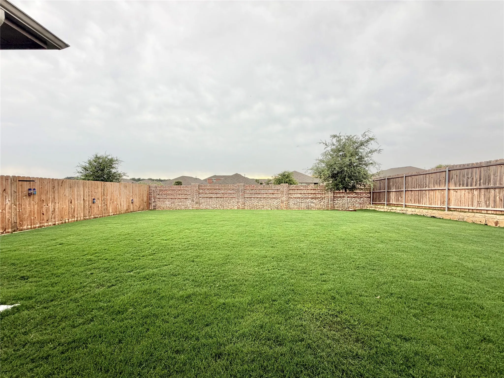 Awesome backyard!