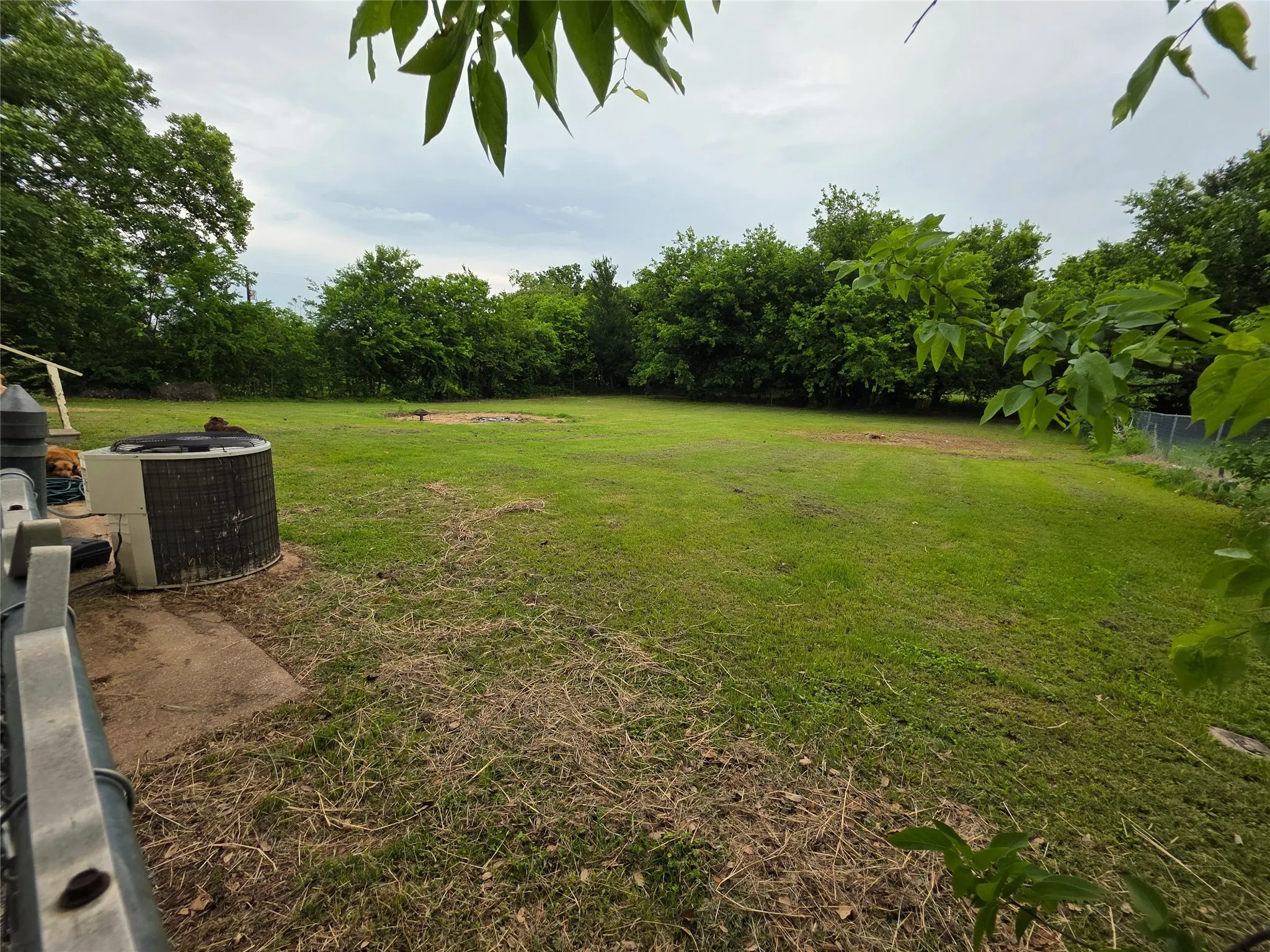 Spacious green lawn with a perimeter of mature trees