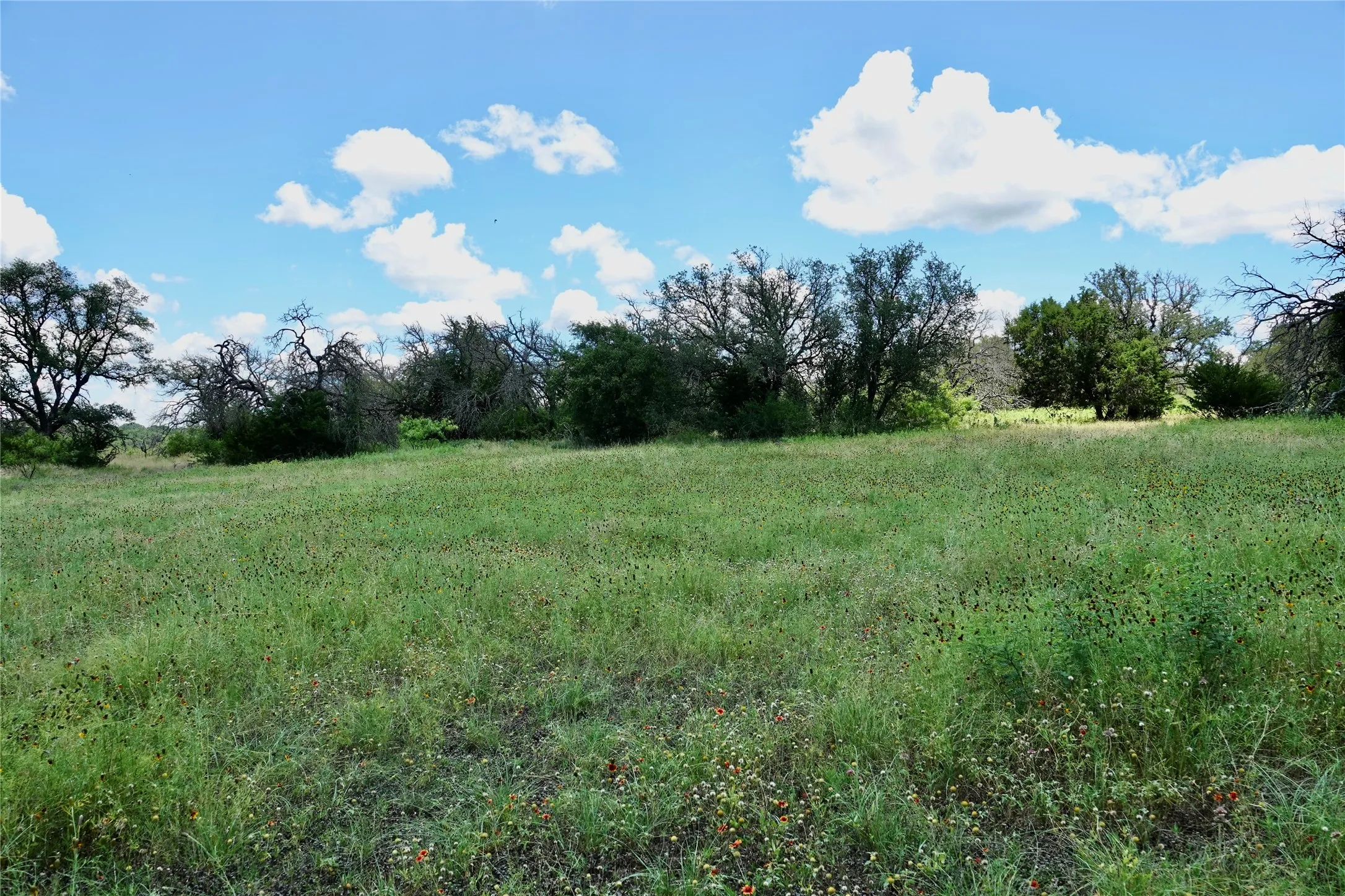 Manufactured Home For Sale in Mills County , 170 CR 505, Goldthwaite, Texas 76844, 3 Bedroom, 2 Bathroom, Garage spaces, 1,512 Sqft, built in 1994, mls#21309918, Real Estate Agent in Goldthwaite, Homes For Sale in Mills county, Homes For Sale in Goldthwaite, Realtor in Goldthwaite Texas, Real Estate Brokerage Independent Realty Texas, Luminita Cordes Realtor